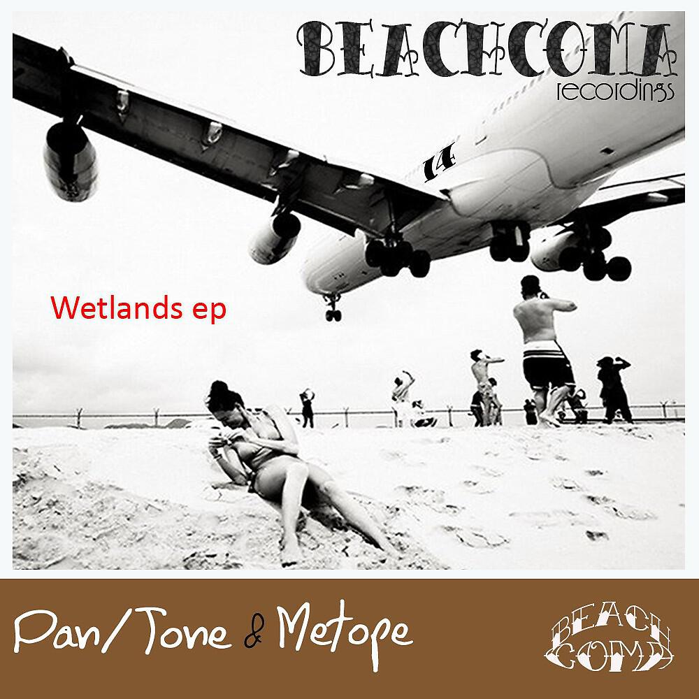 Pan/Tone & Metope - Dismal