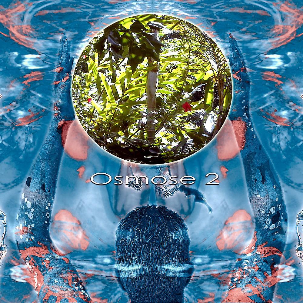 Постер альбома Osmose 2