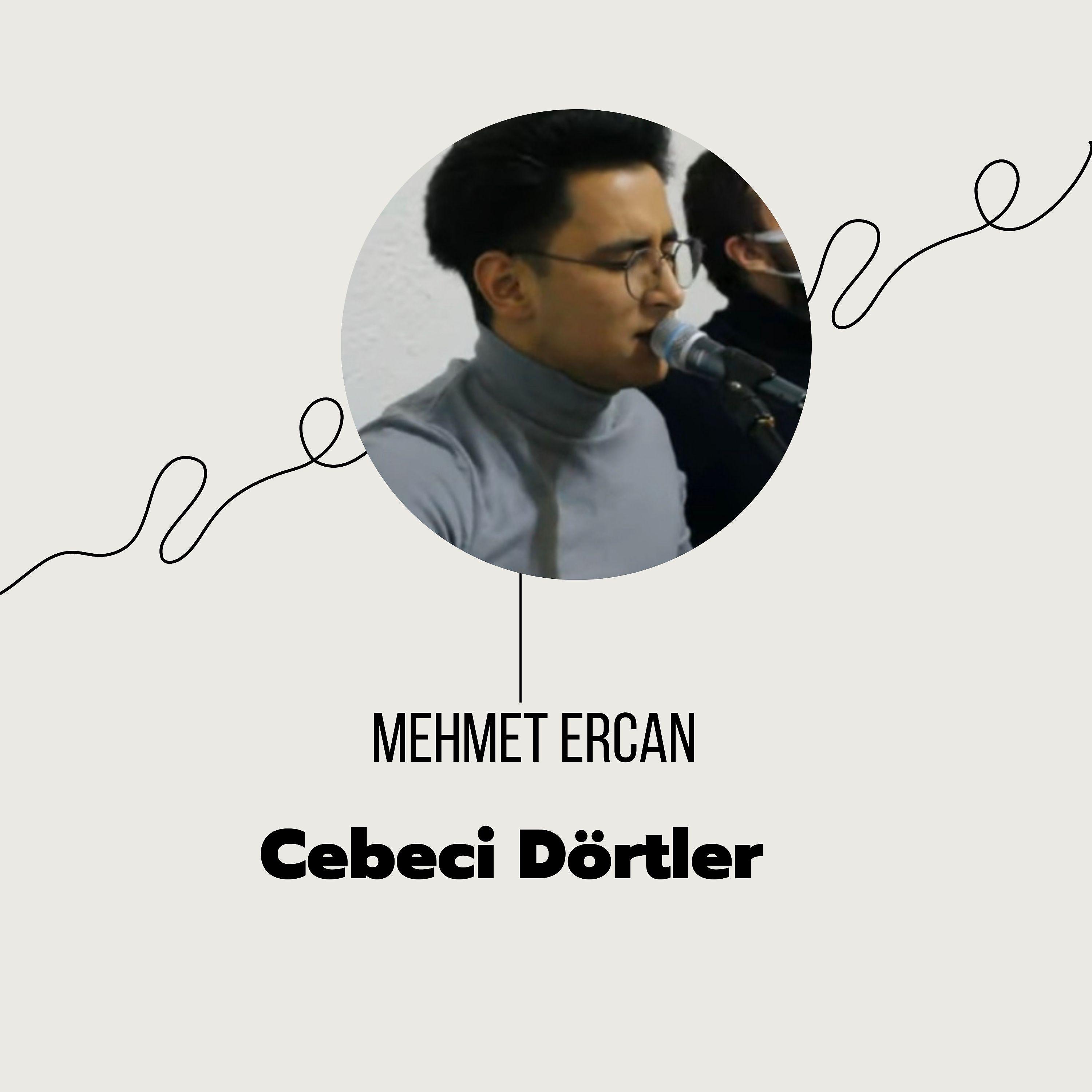 Постер альбома Cebeci Dörtler