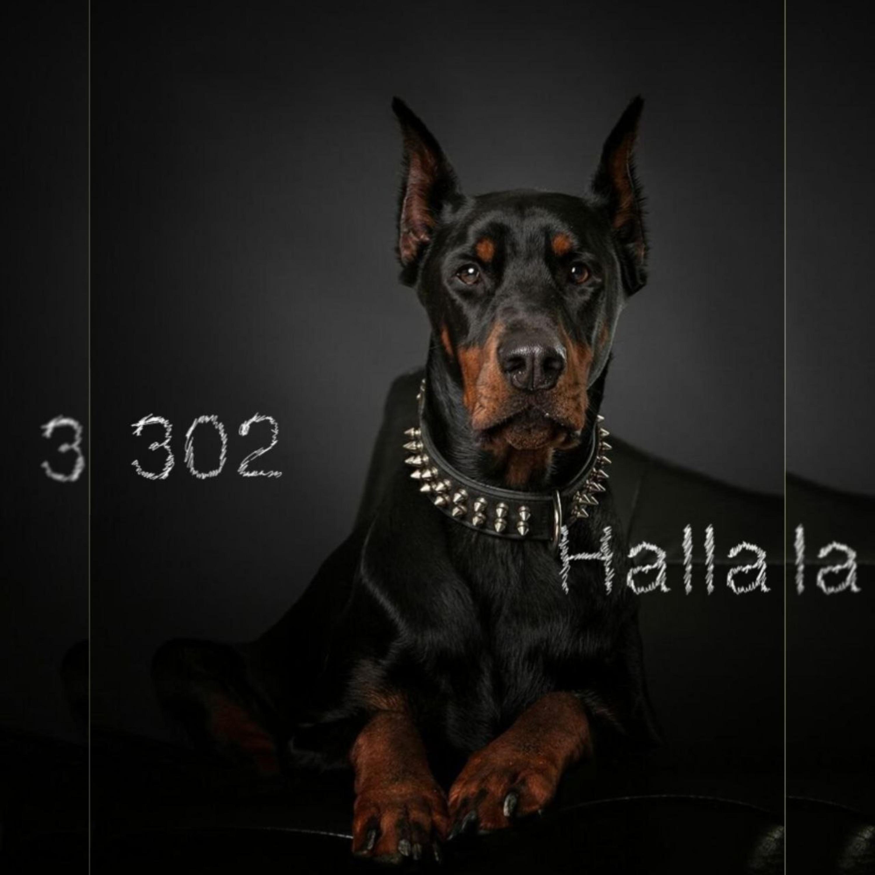 Постер альбома Halla