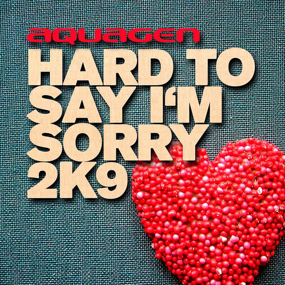 Постер альбома Hard to Say I'm Sorry 2K9