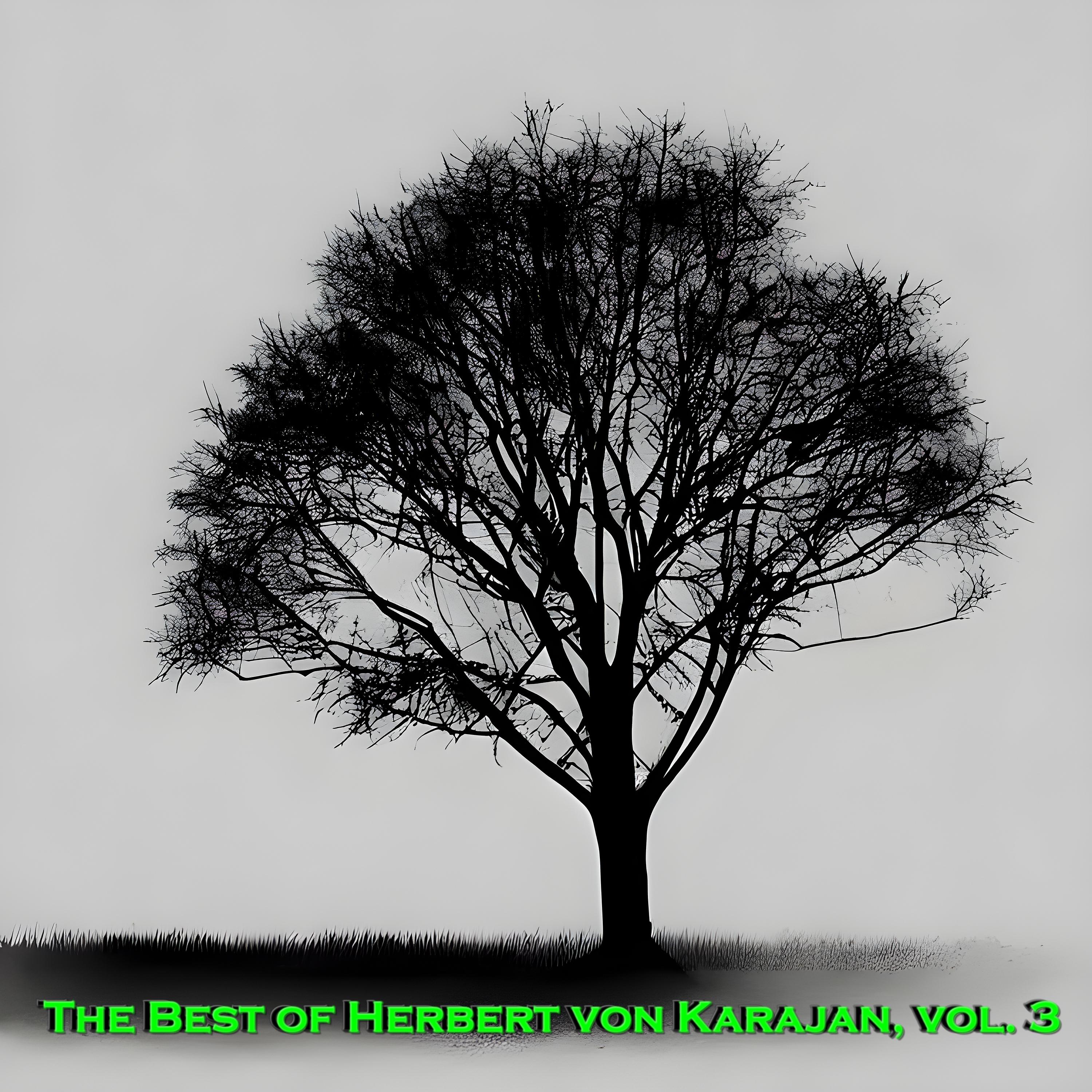 Постер альбома The Best of Herbert von Karajan, Vol. 3
