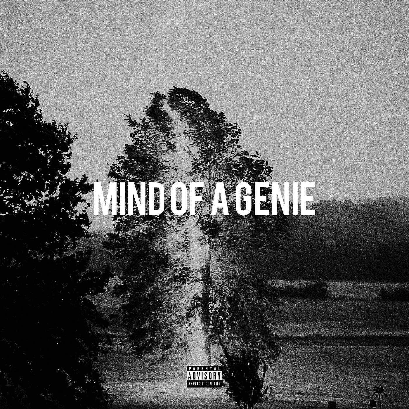 Постер альбома Mind of a Genie