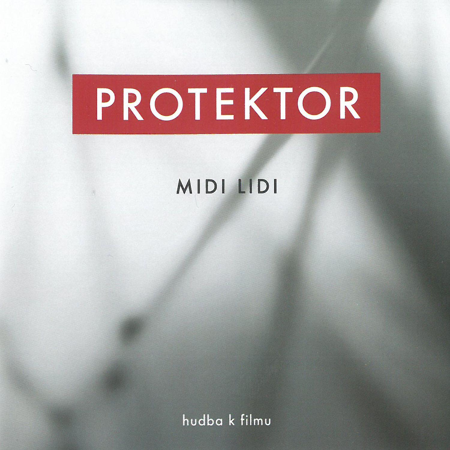 Постер альбома Protektor