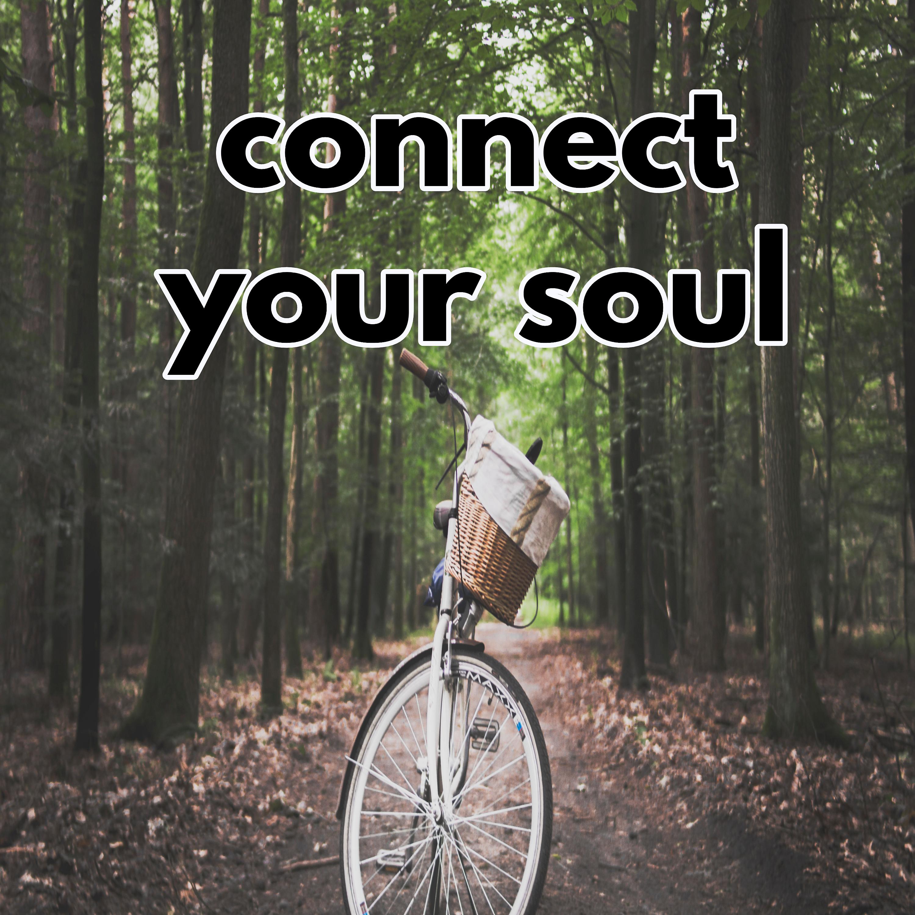 Постер альбома connect your soul
