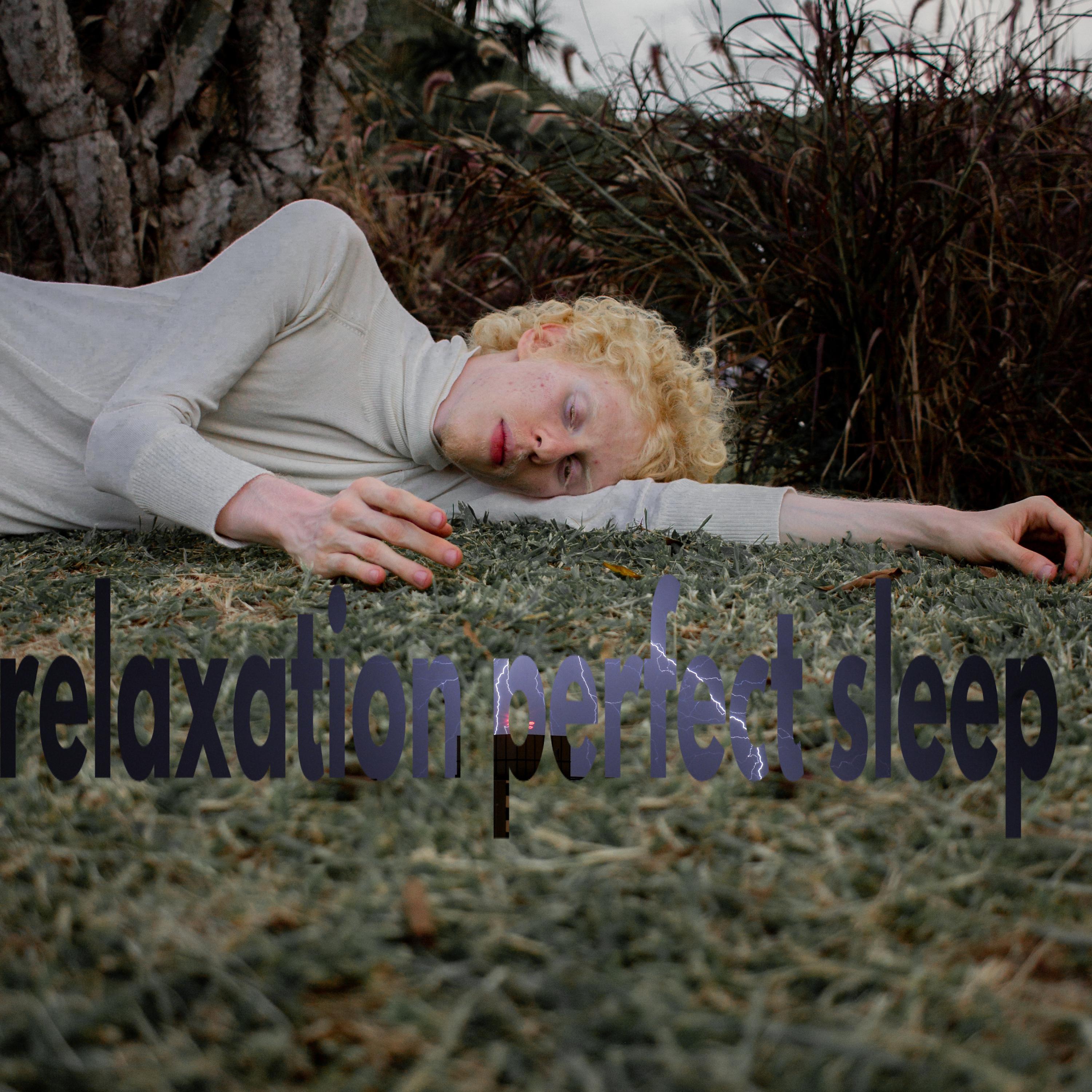 Постер альбома relaxation perfect sleep