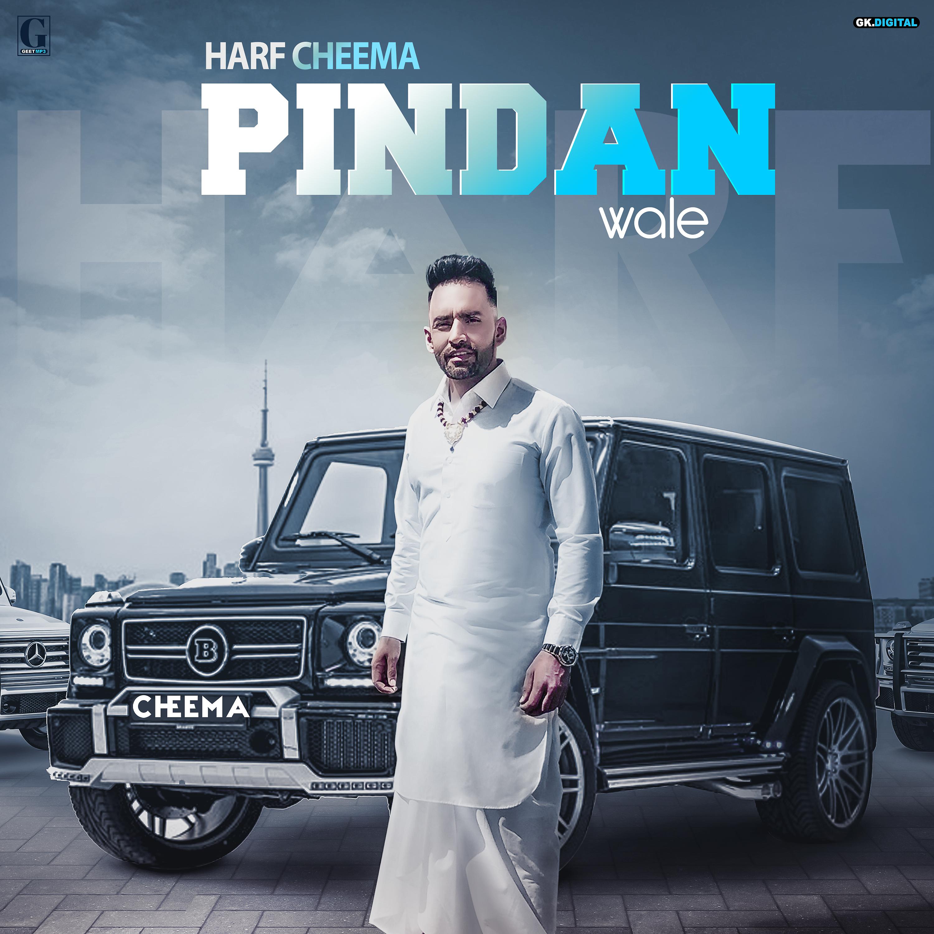 Постер альбома Pindan Wale