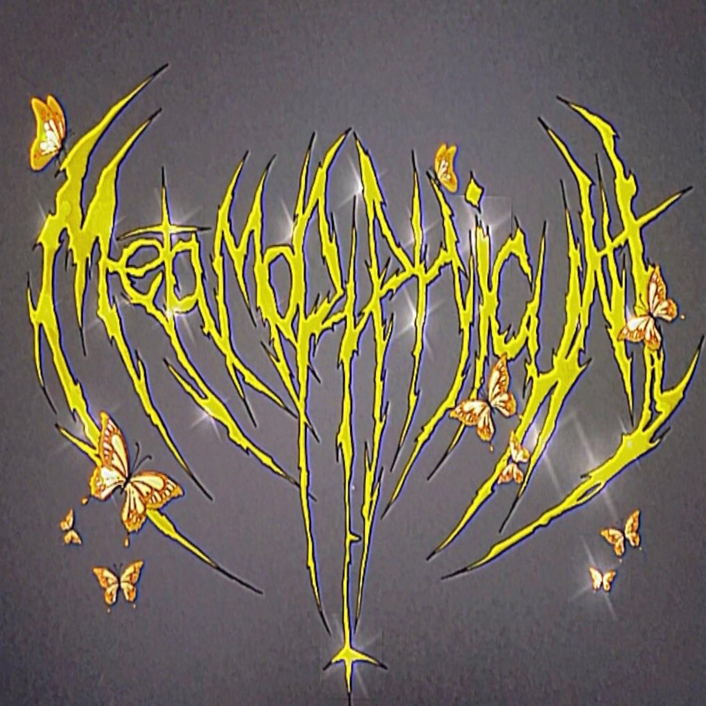 Постер альбома Metamorphicunt