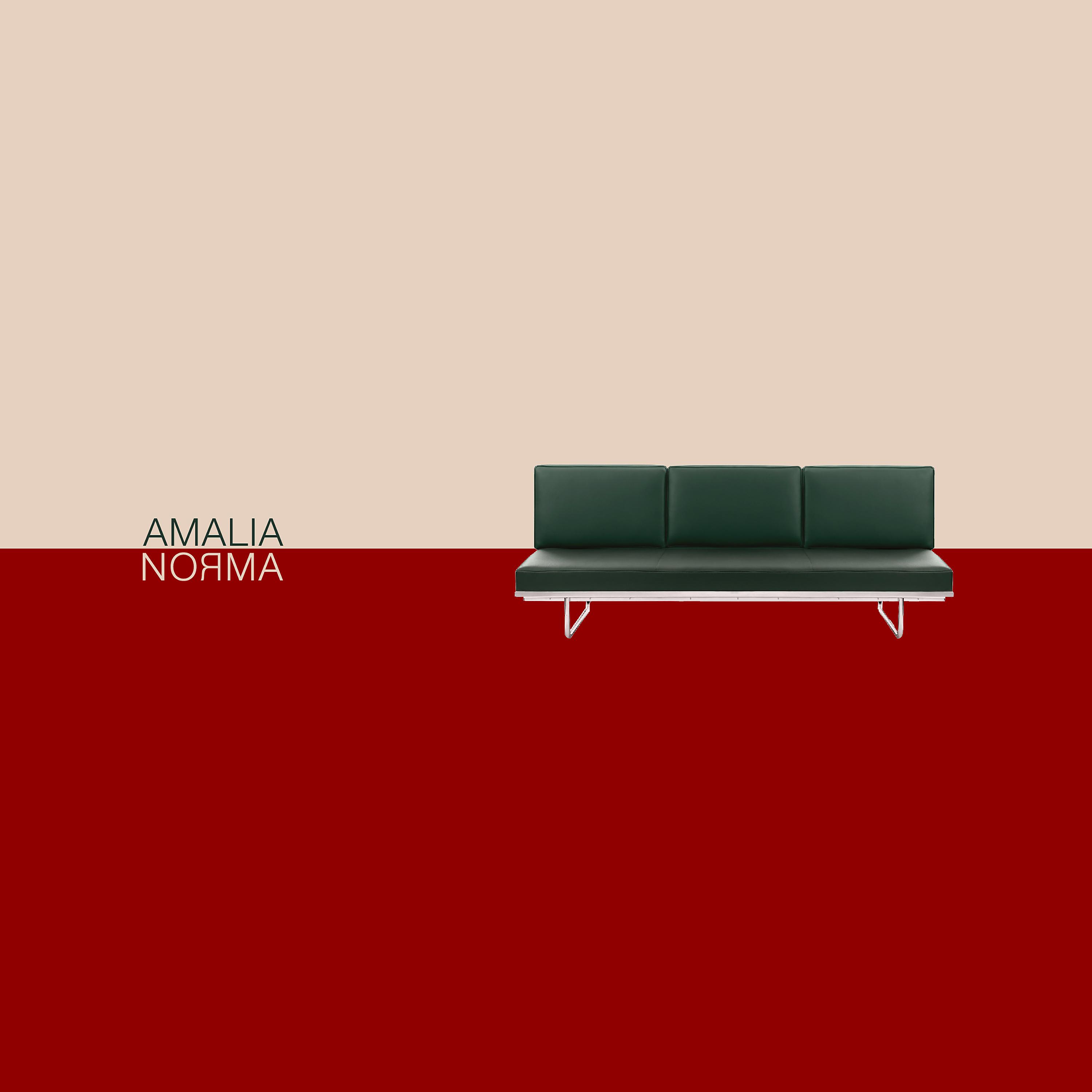 Постер альбома Amalia