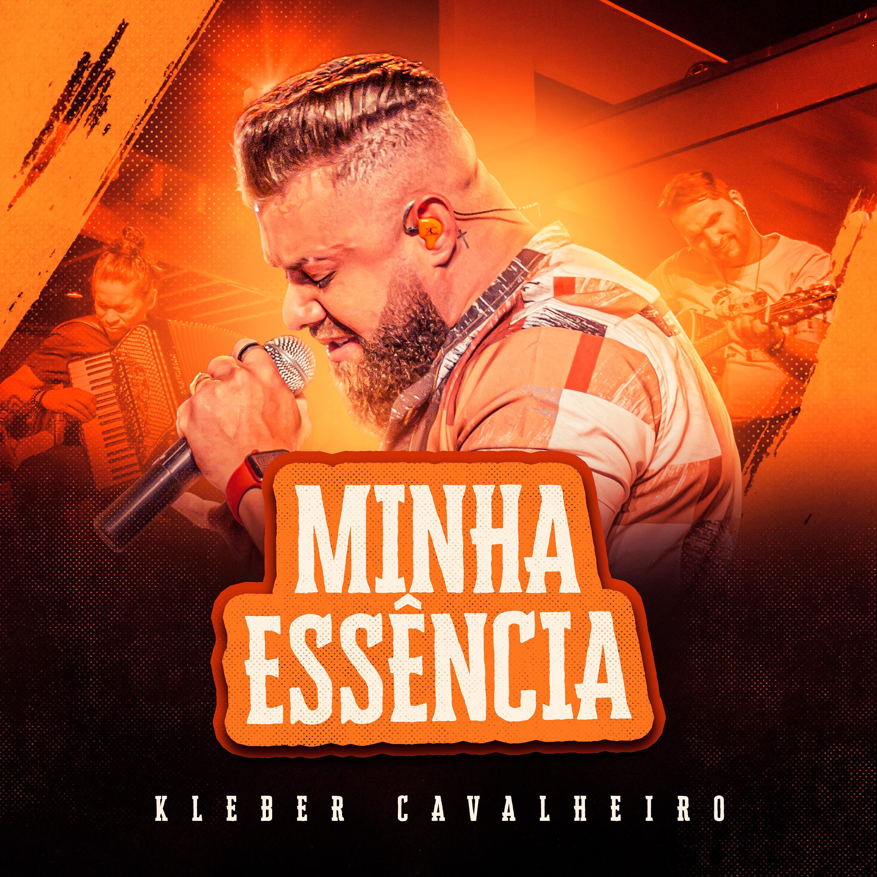 Постер альбома Minha Essência