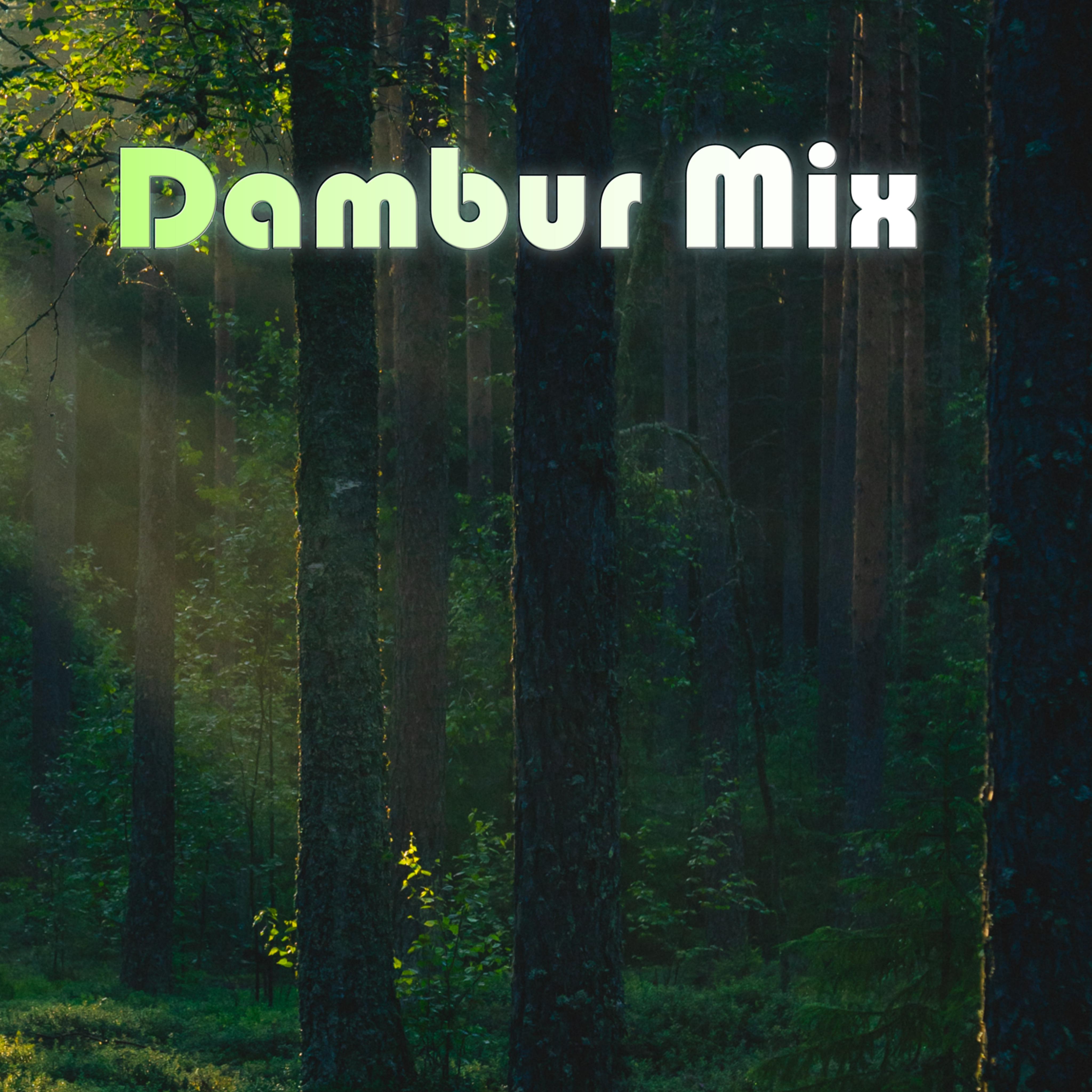 Постер альбома Dambur Mix