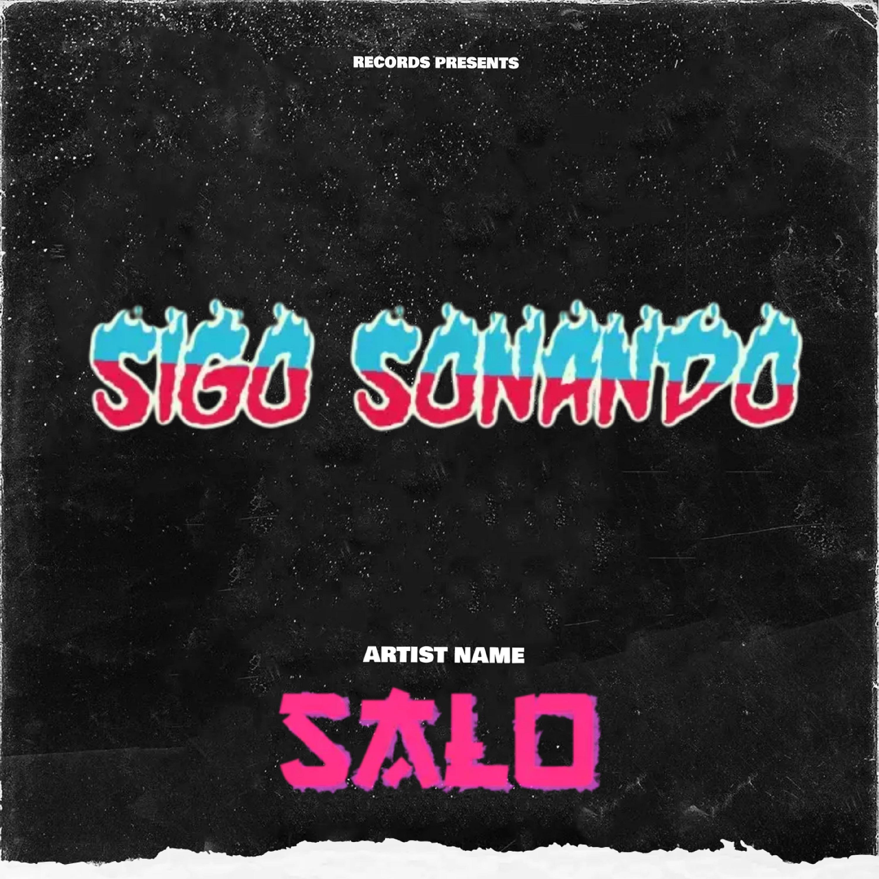 Постер альбома Sigo Sonando