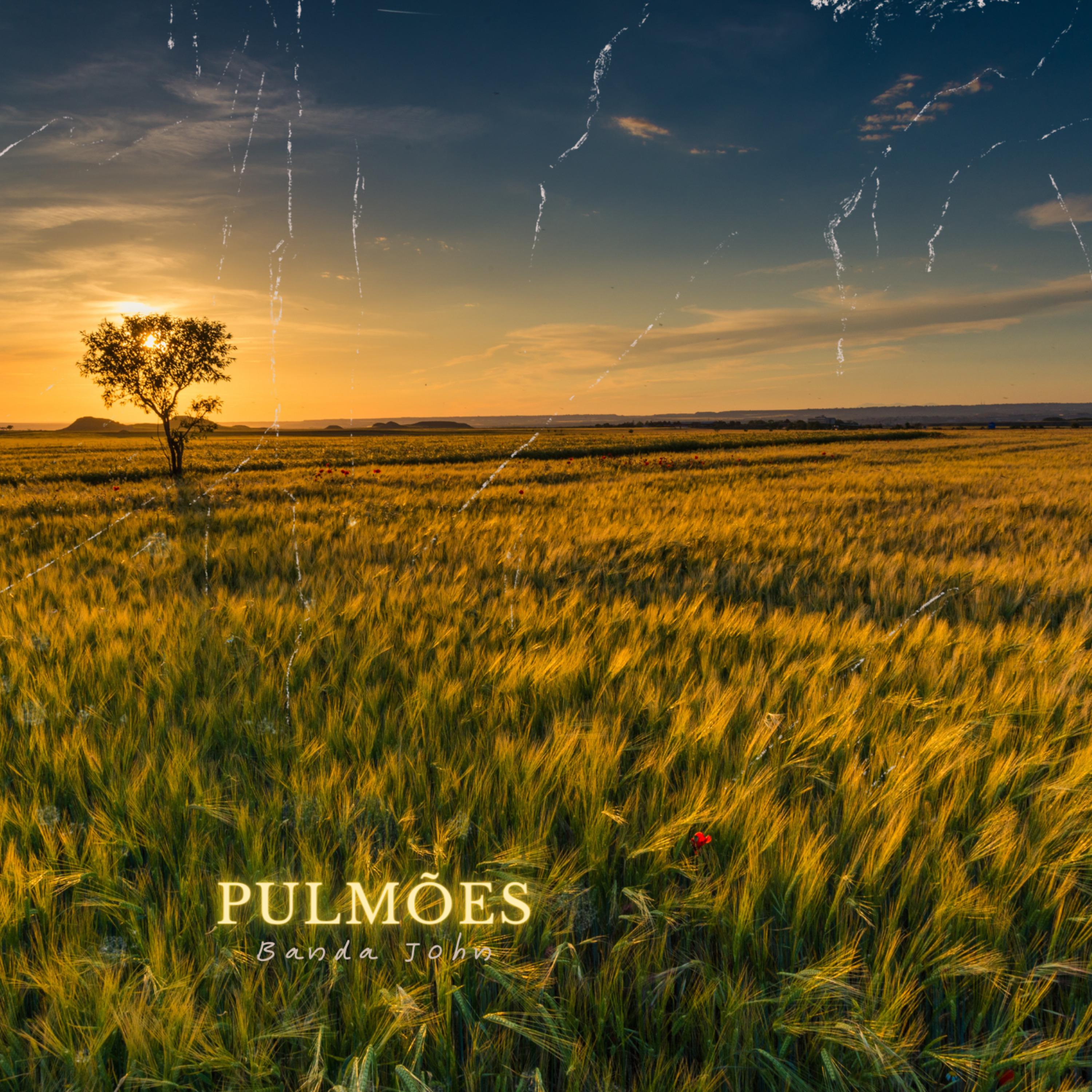 Постер альбома Pulmões