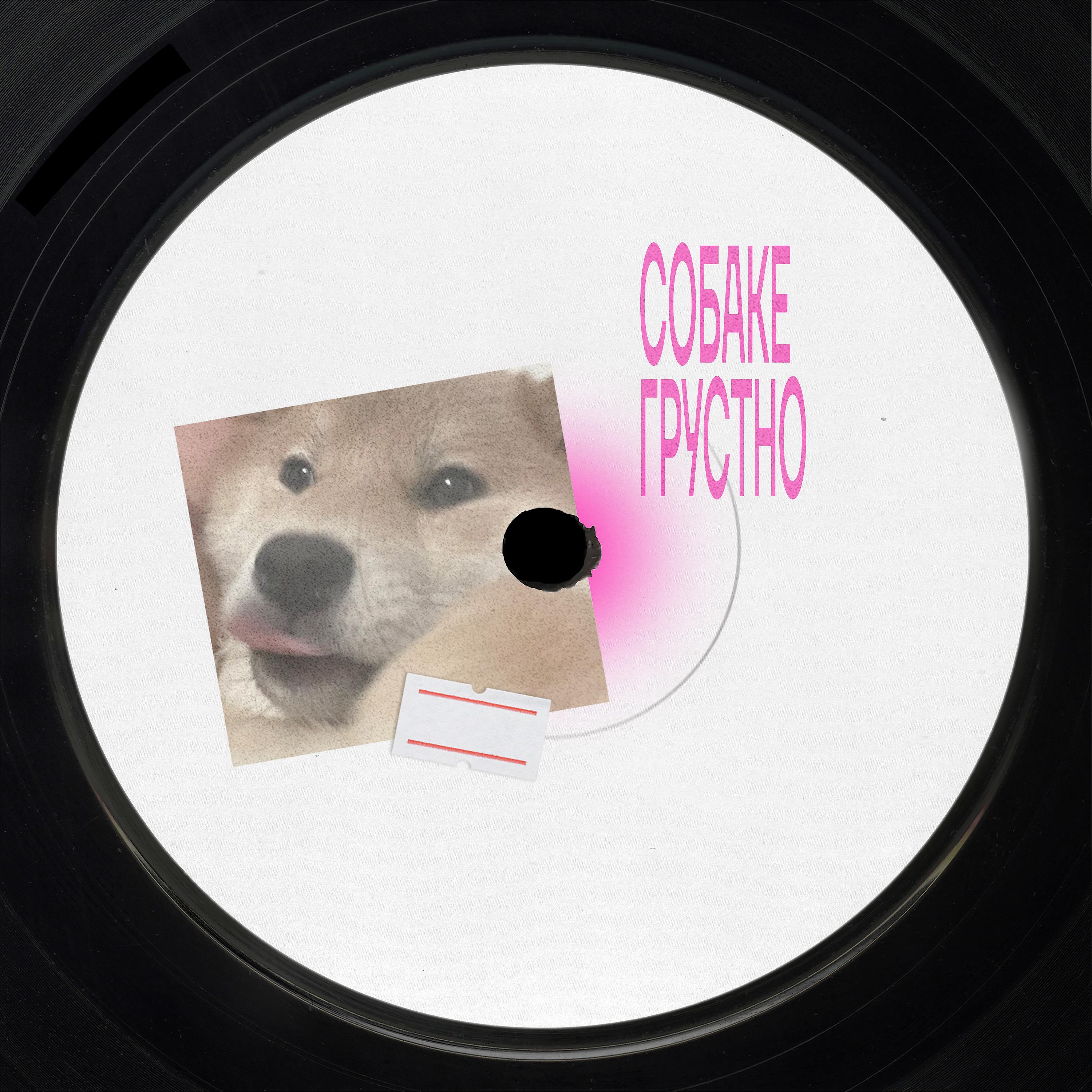 Постер альбома Собаке грустно
