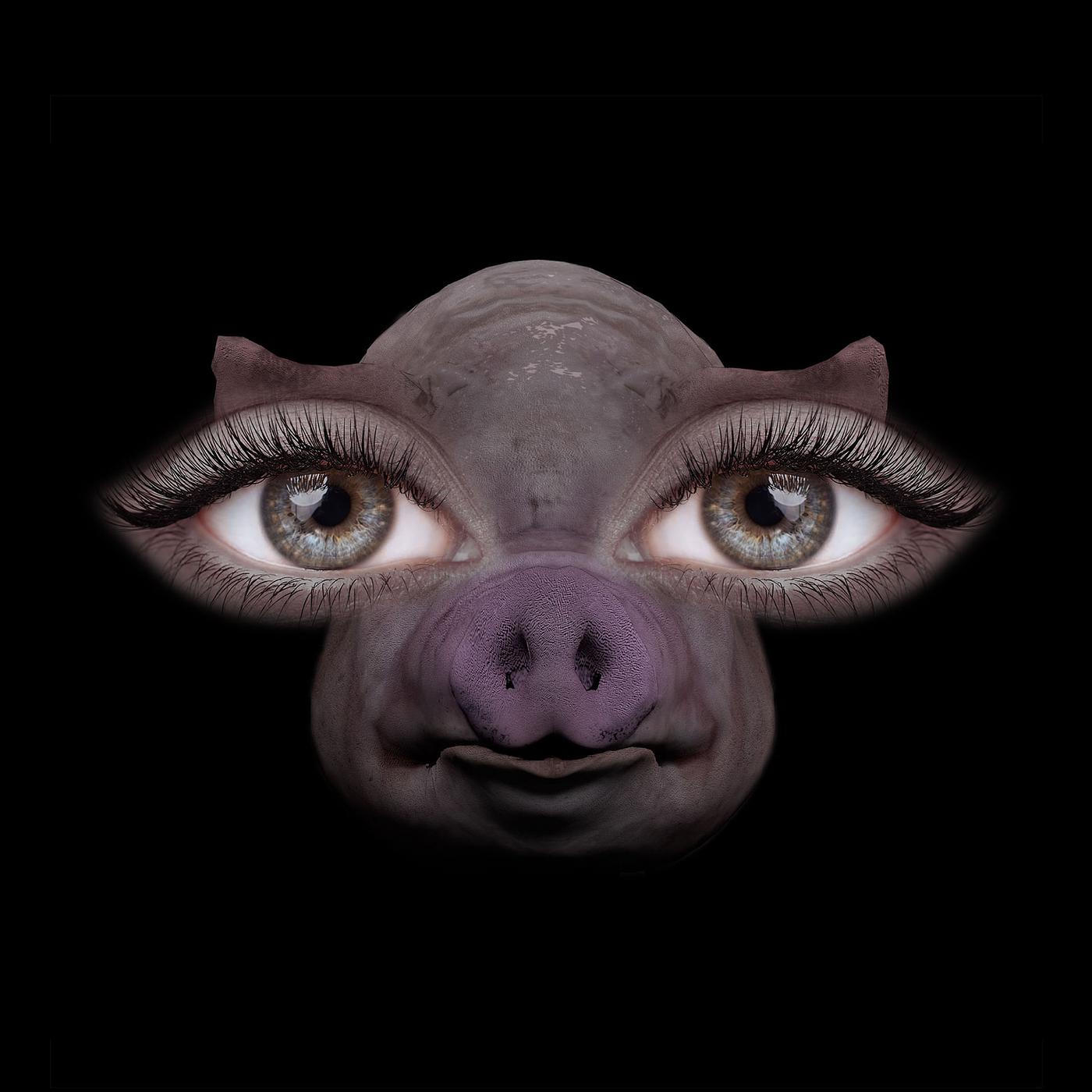 Постер альбома Us and Pigs