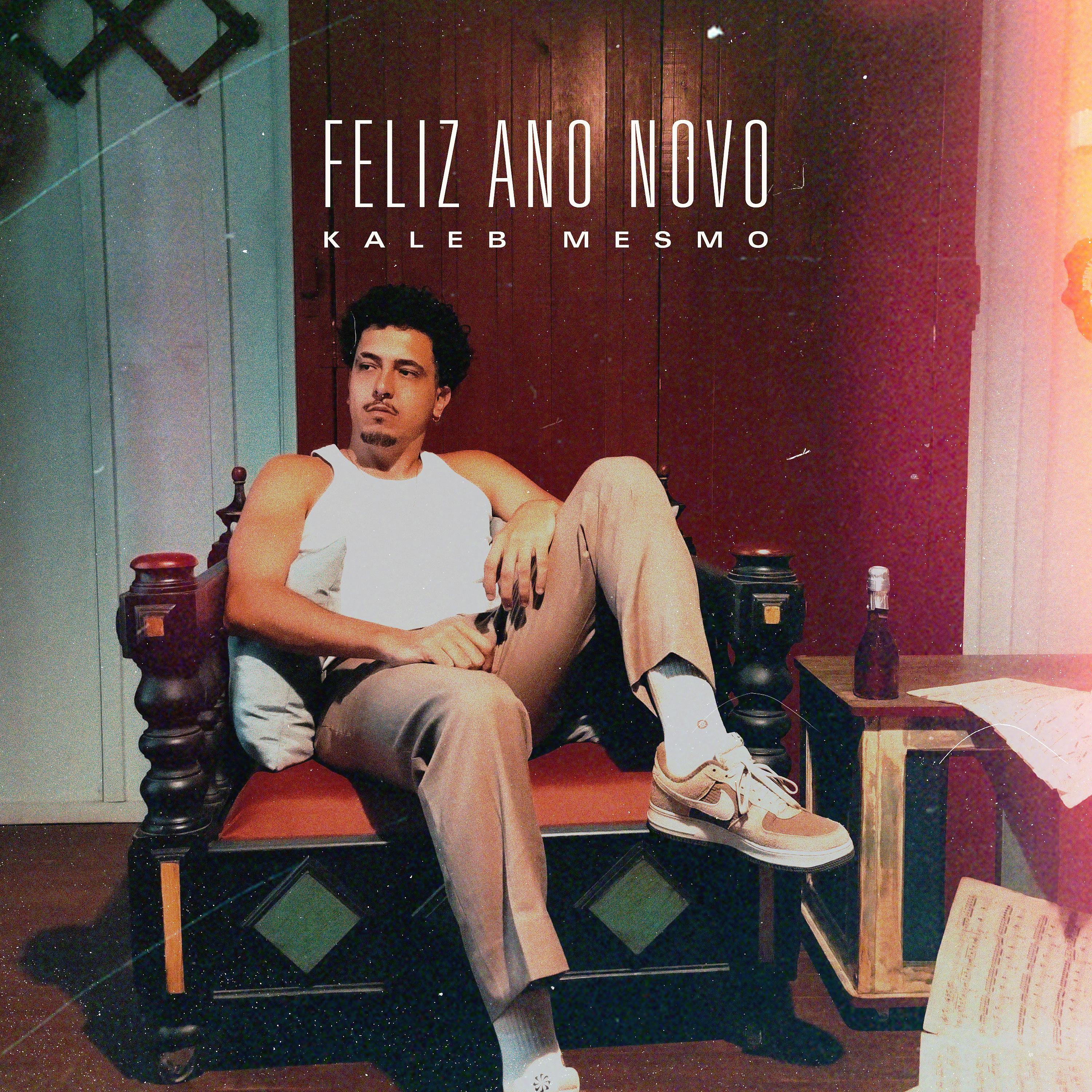 Постер альбома Feliz Ano Novo (Reveillon)