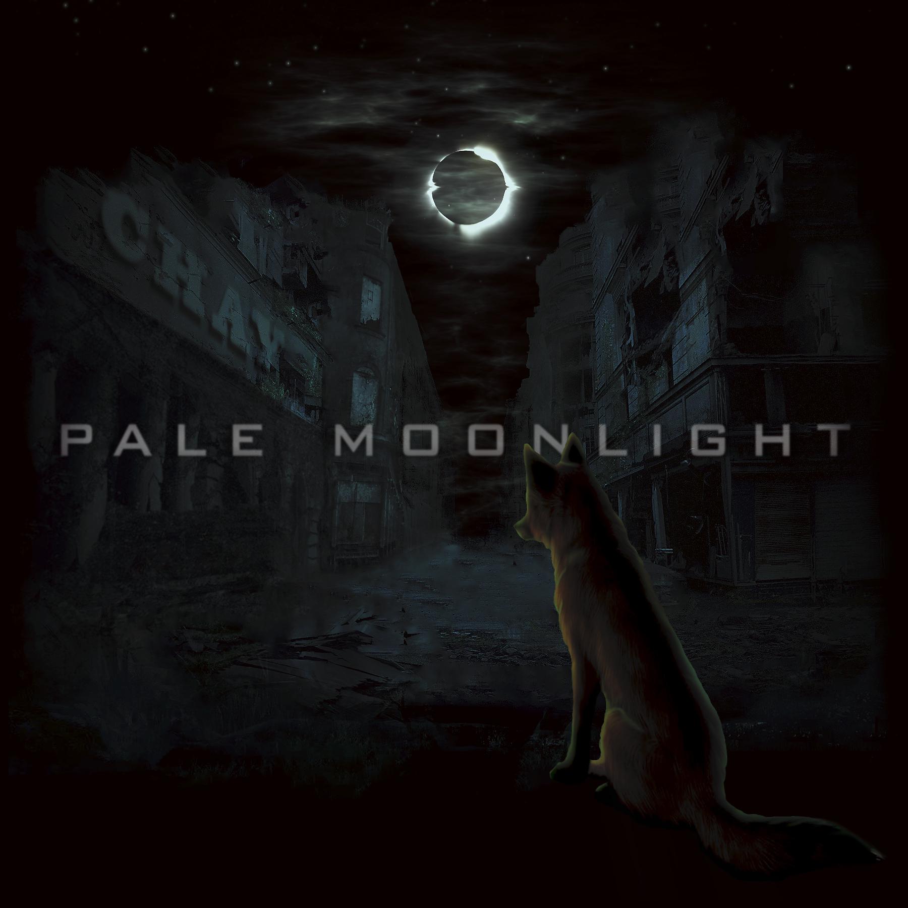 Постер альбома Pale Moonlight