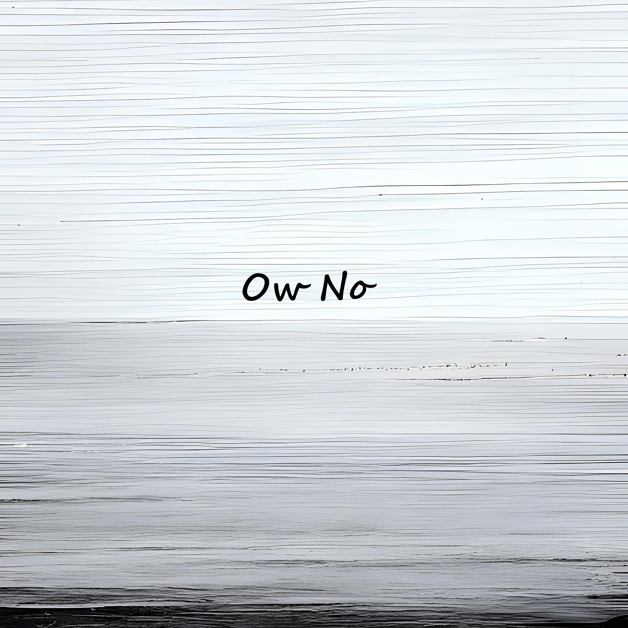 Постер альбома Ow No