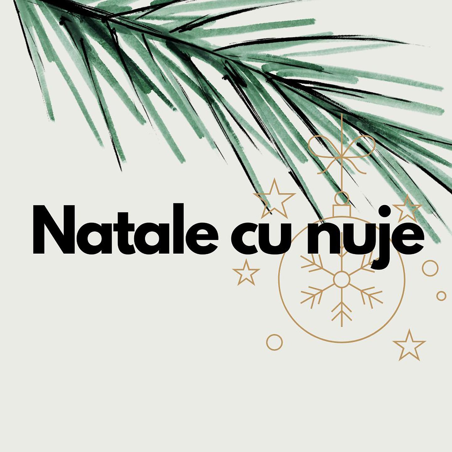 Постер альбома Natale cu nuje