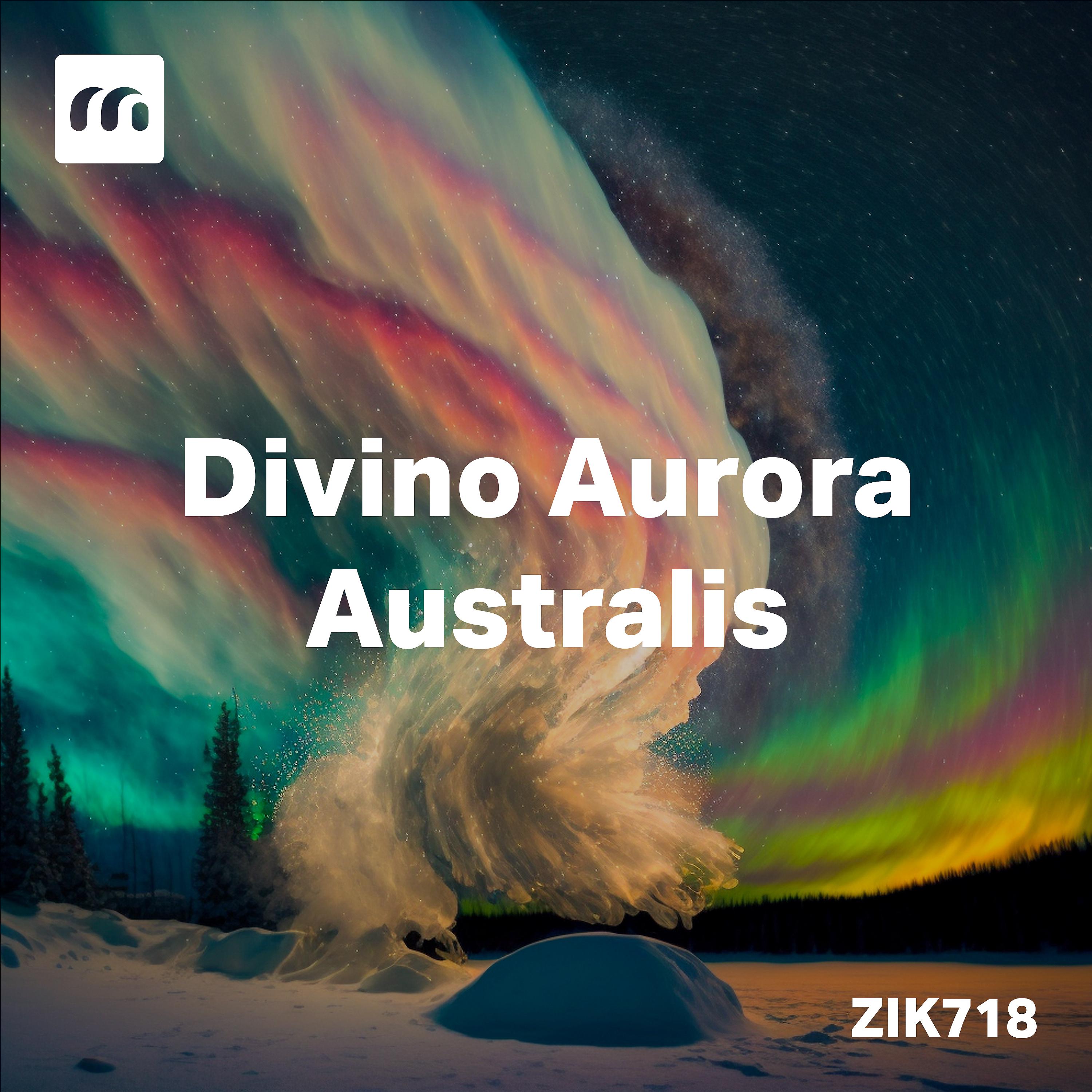 Постер альбома Divino Aurora Australis