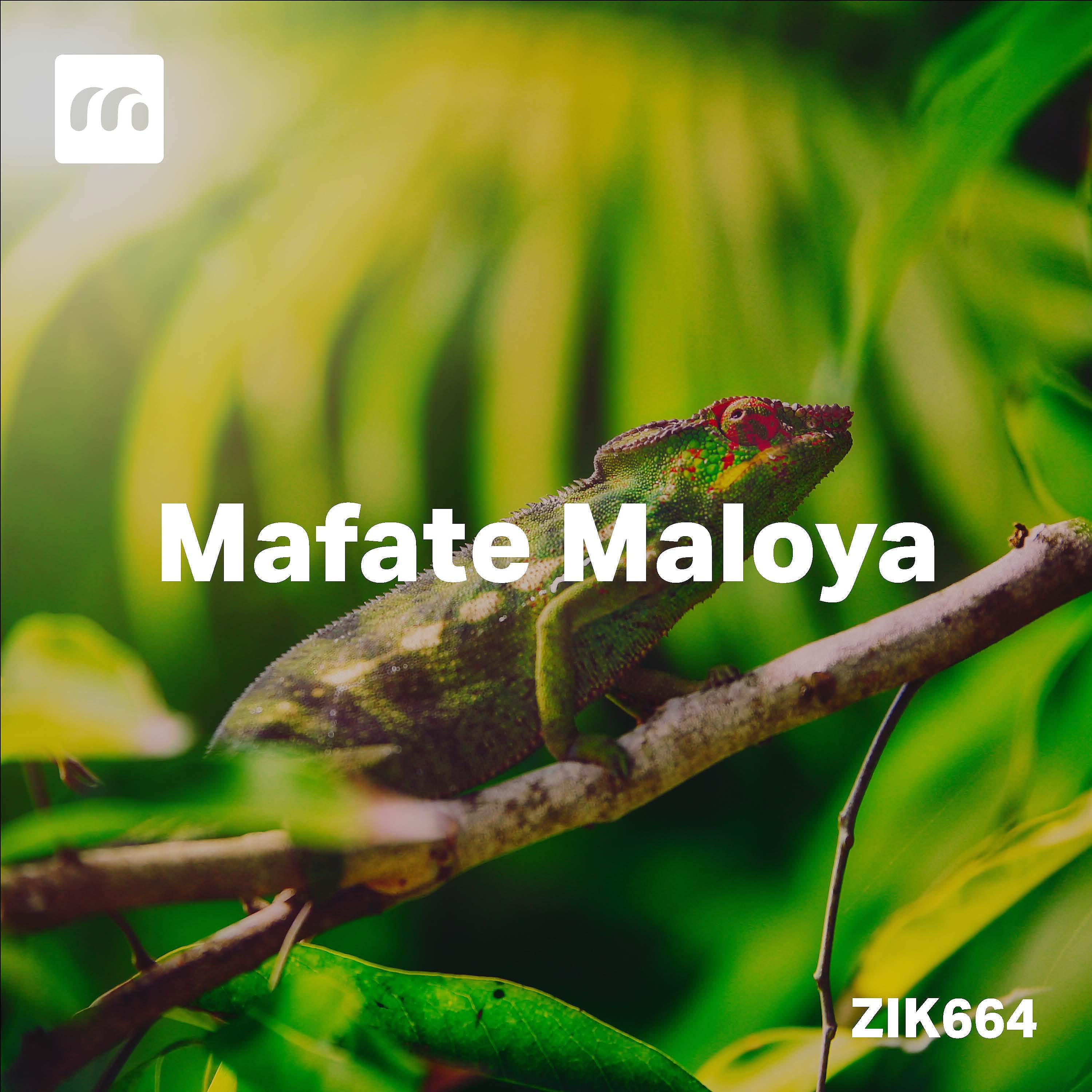 Постер альбома Mafate Maloya