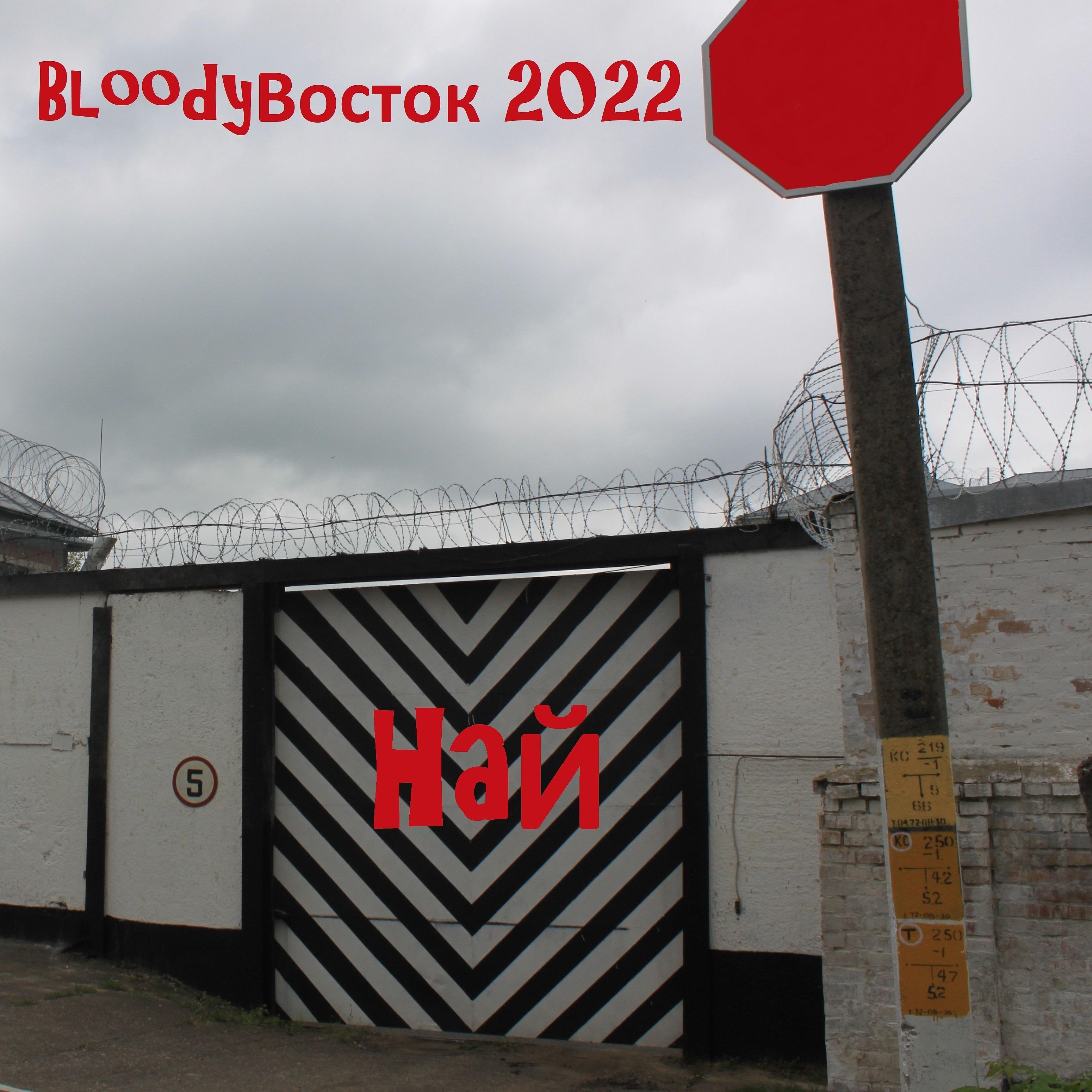 Постер альбома Bloodyвосток 2022