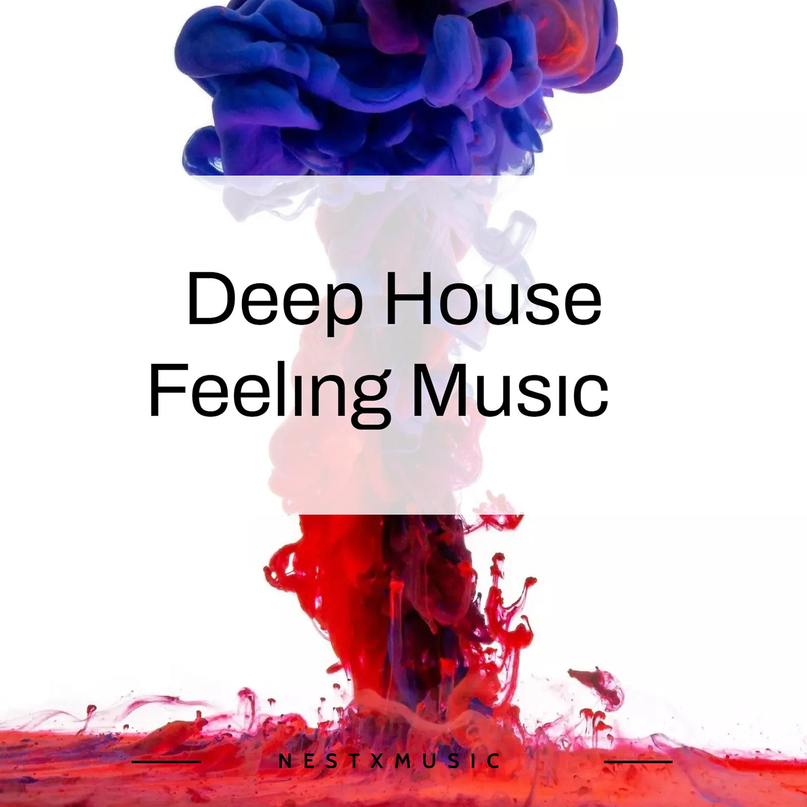 Постер альбома Deep House Feelıng Musıc