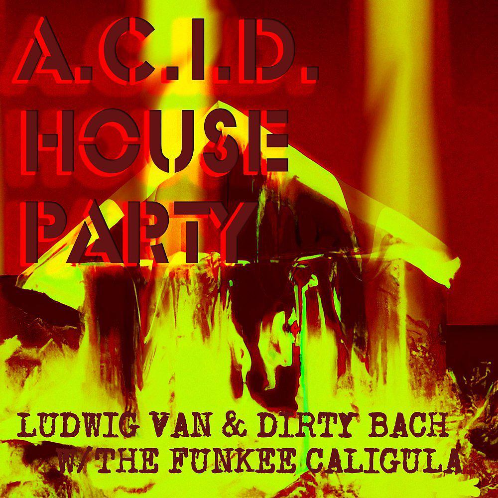 Постер альбома Acid House Party
