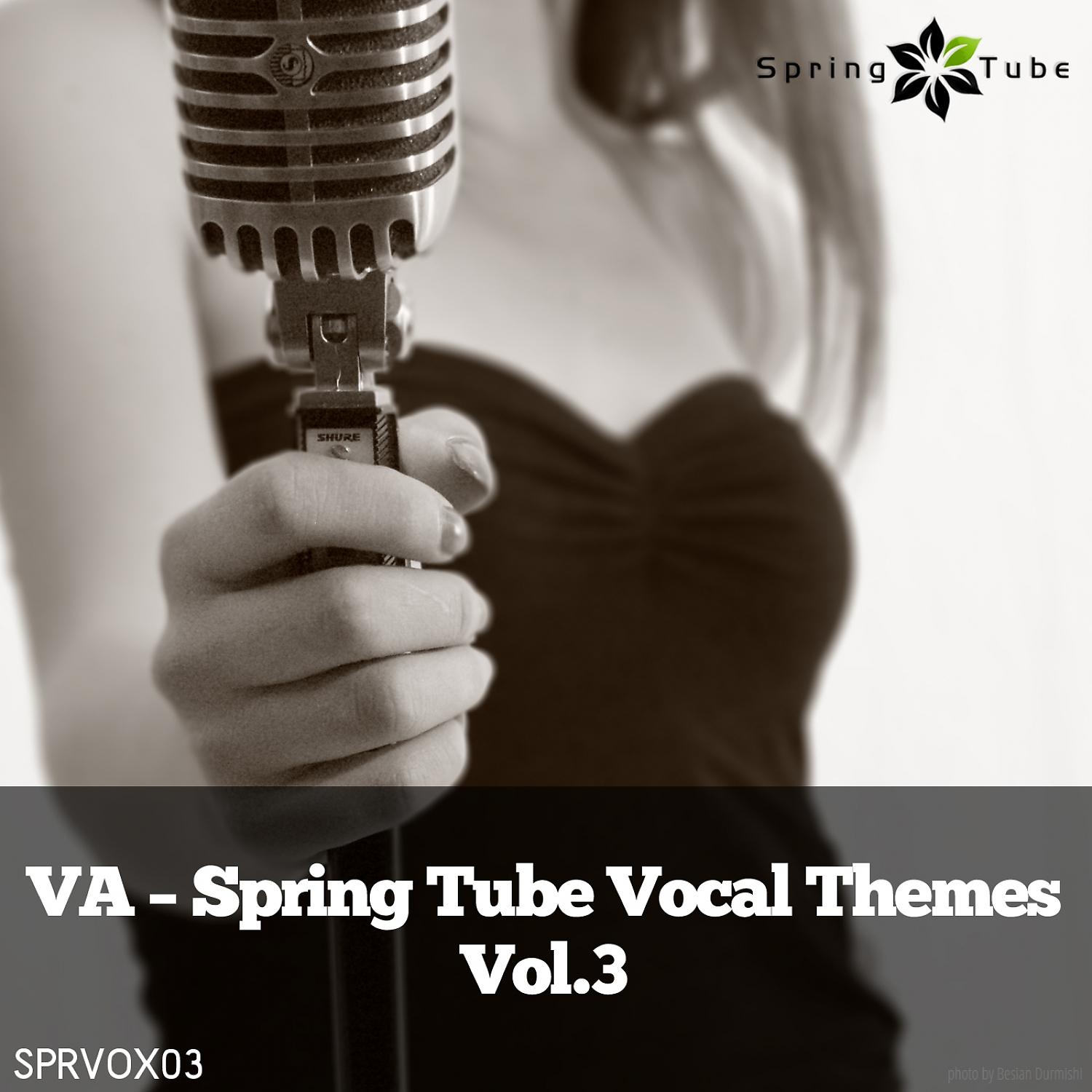 Постер альбома Spring Tube Vocal Themes, Vol. 3