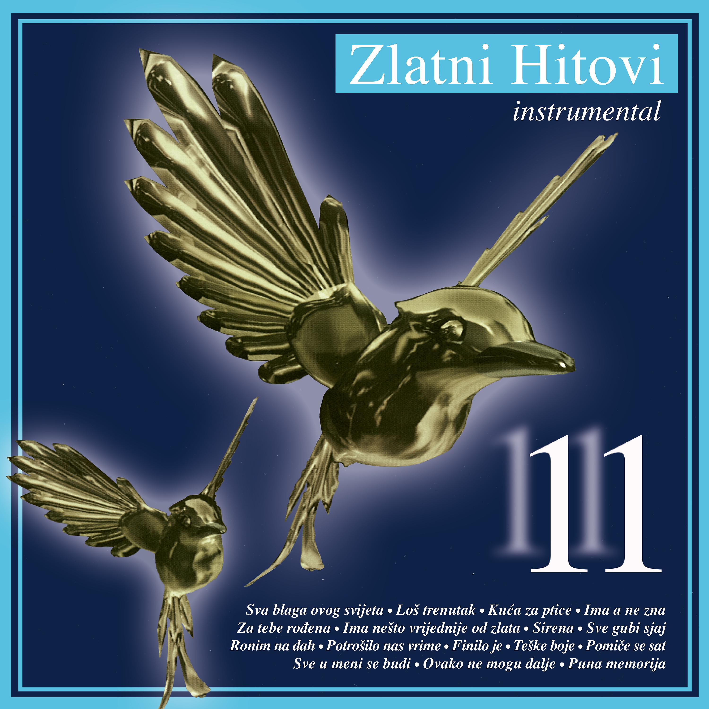 Постер альбома Zlatni Hitovi 11 - Instrumental