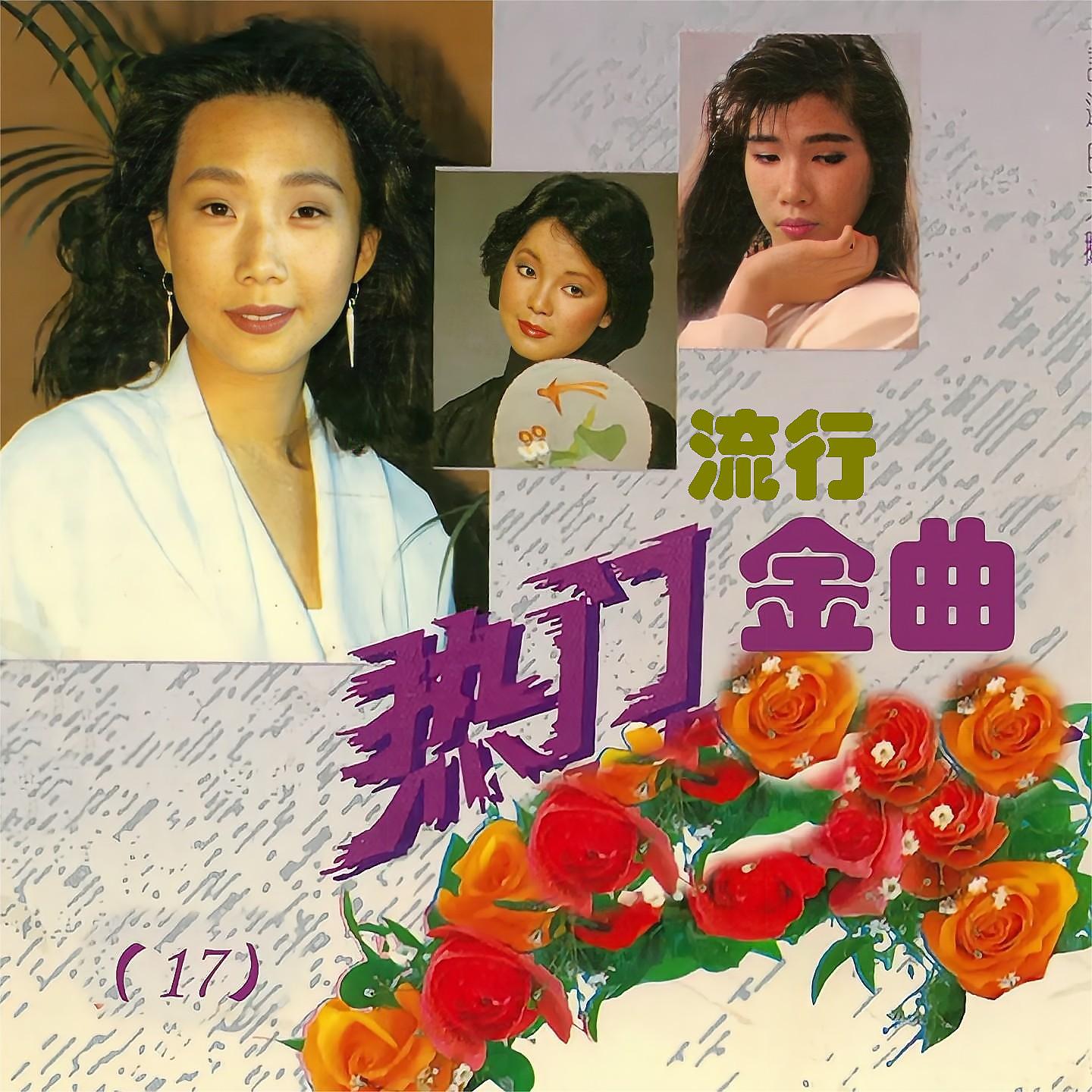Постер альбома 热门流行金曲（17）