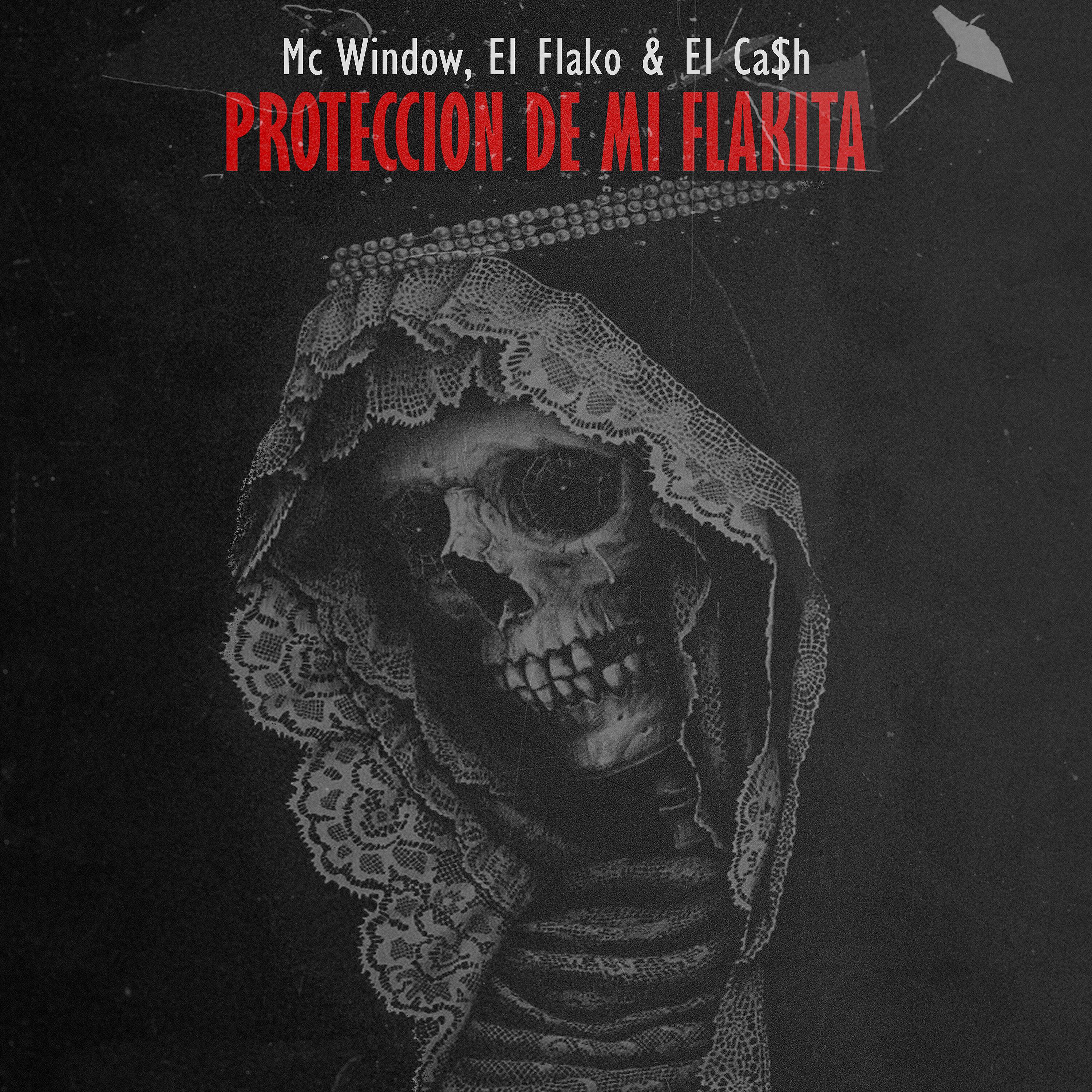 Постер альбома Proteccion De Mi Flakita