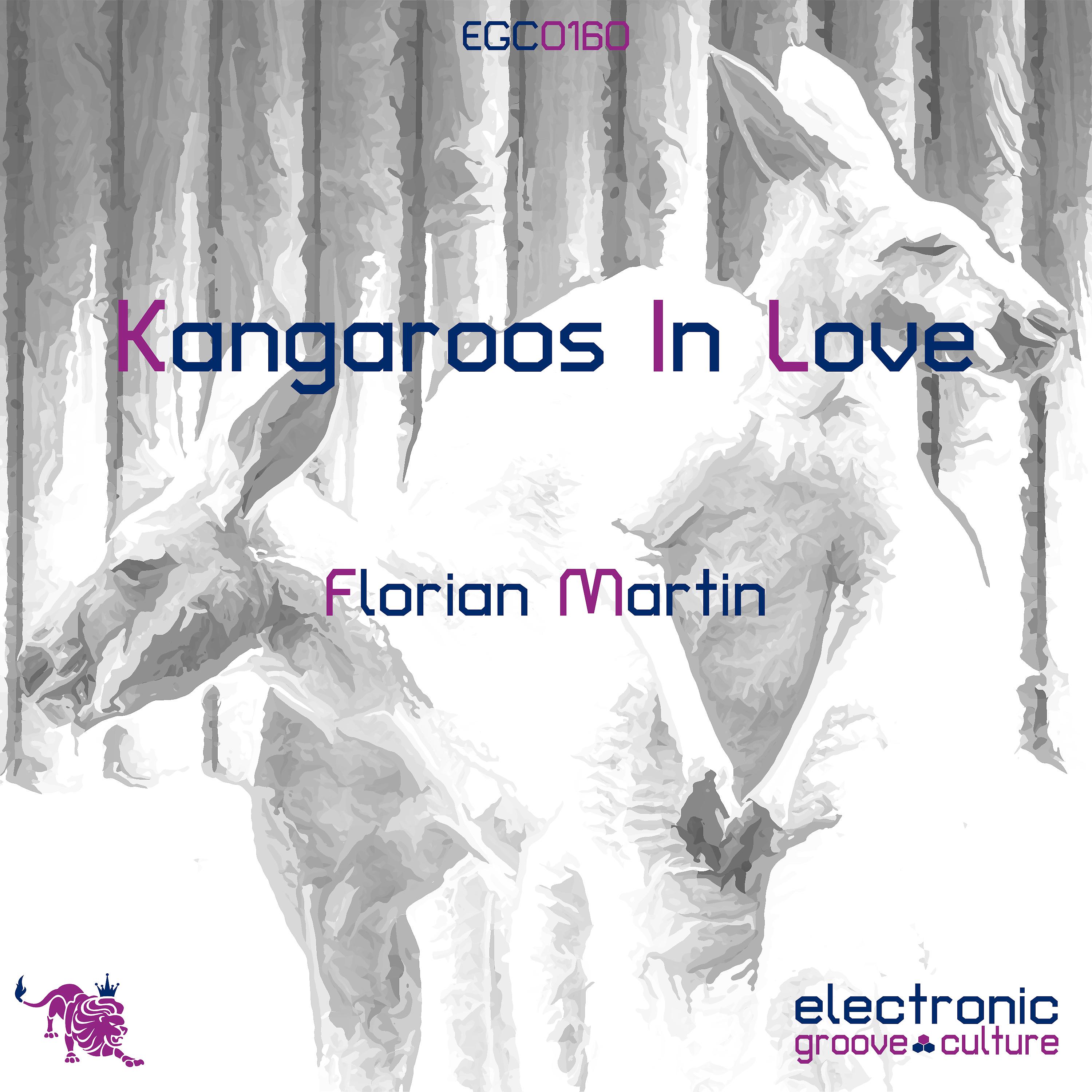 Постер альбома Kangaroos In Love