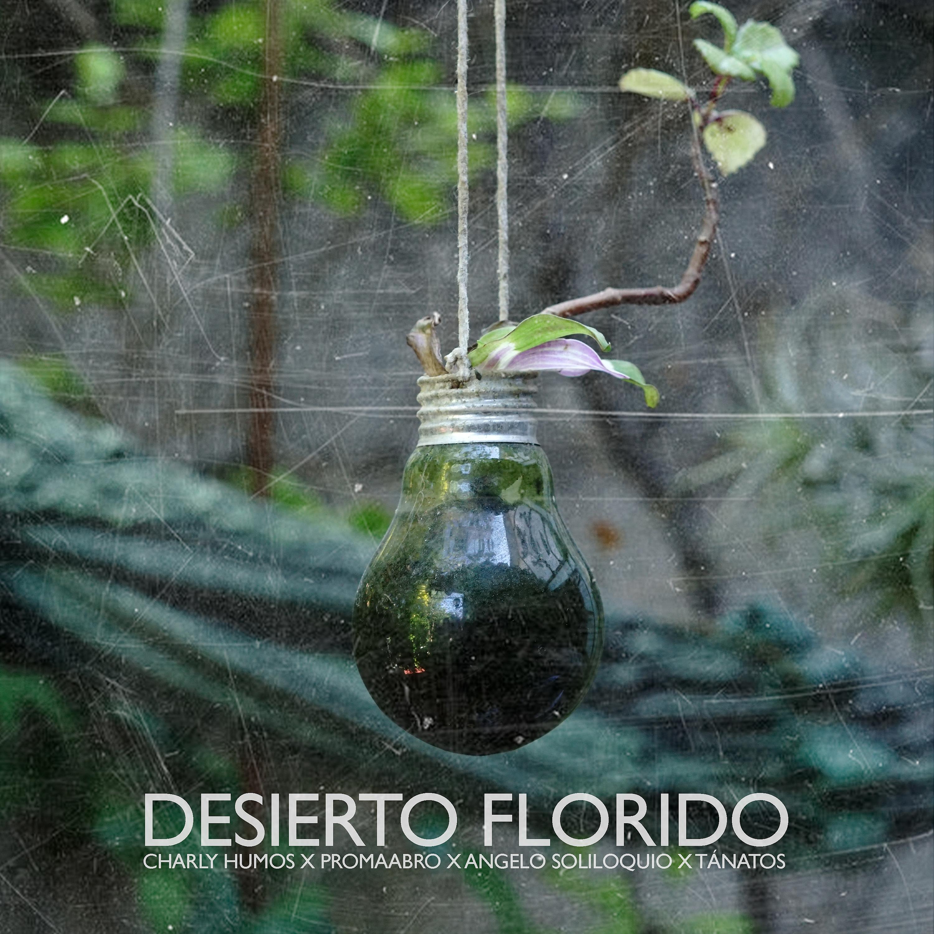 Постер альбома Desierto Florido (feat. Promaabro, Angelo Soliloquio & TanatosLakactus)