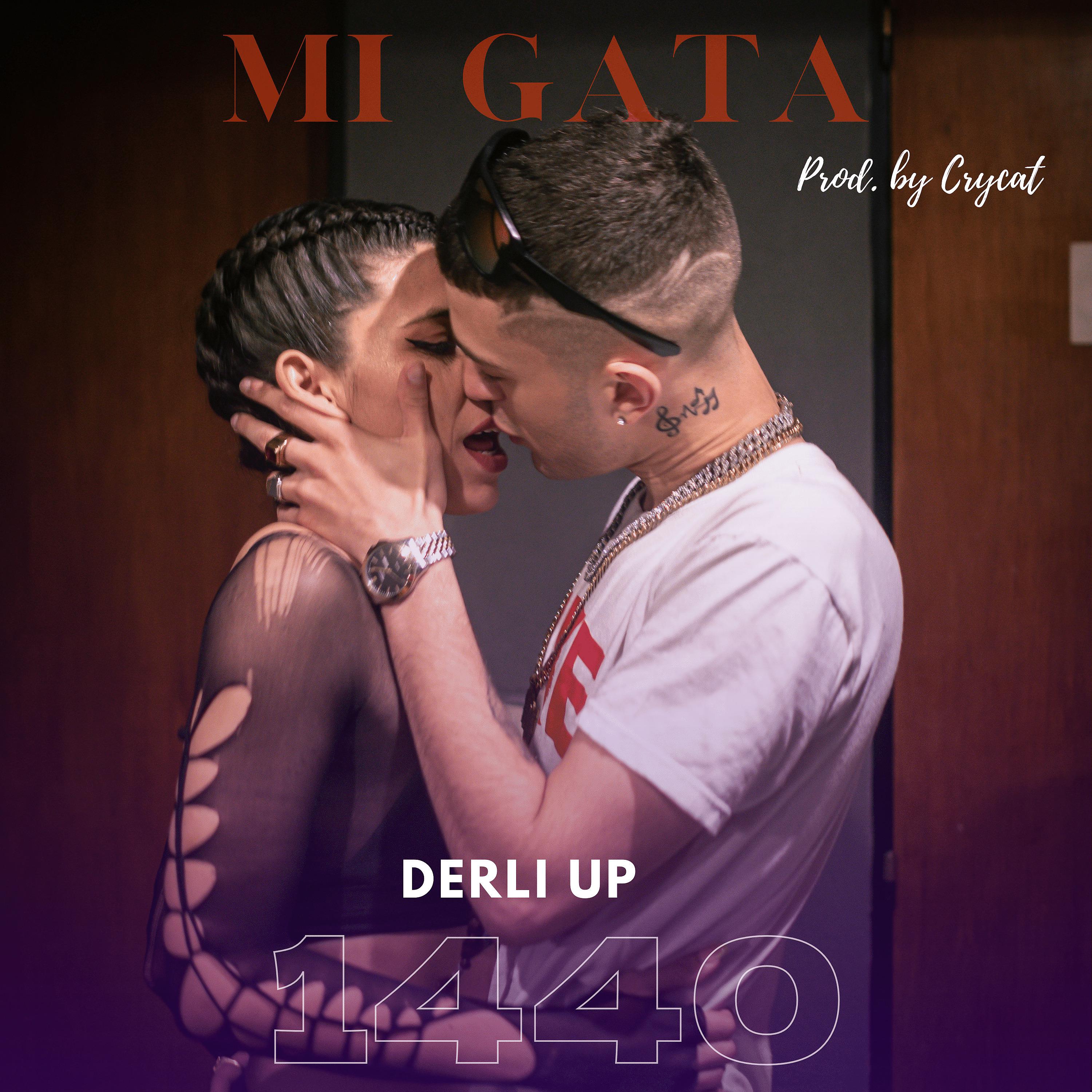Постер альбома Mi Gata