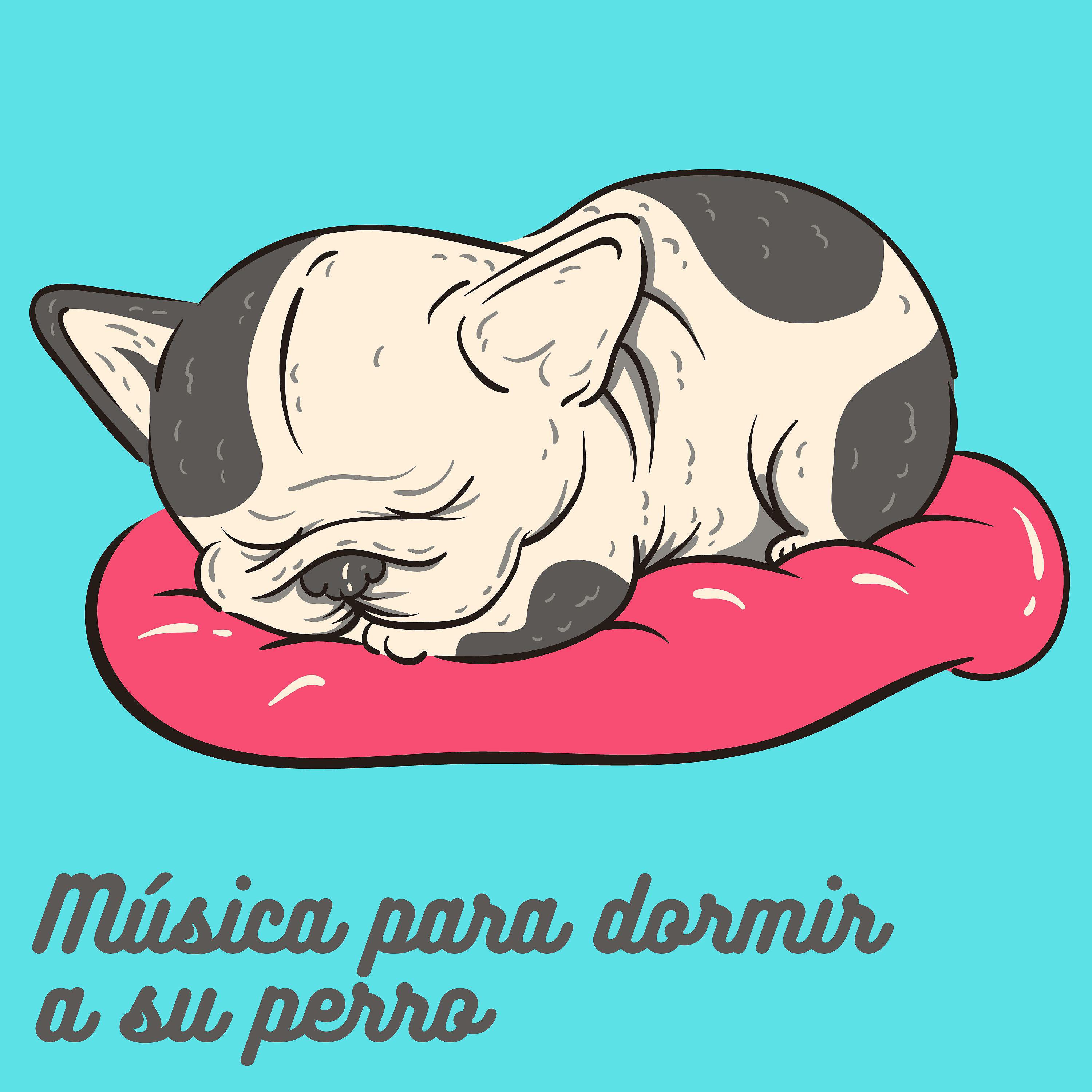 Постер альбома Música para dormir a su perro