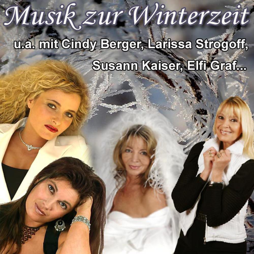 Постер альбома Musik Zur Winterzeit