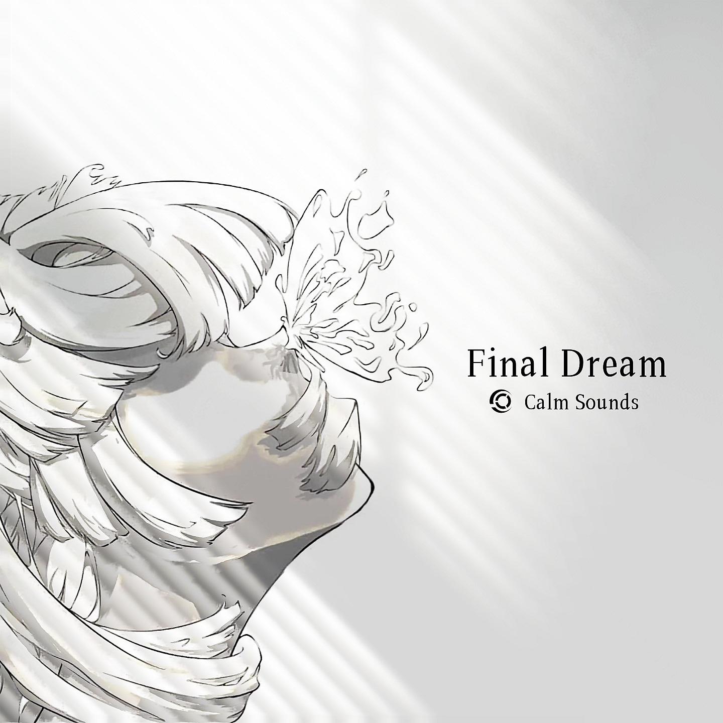 Постер альбома Final Dream