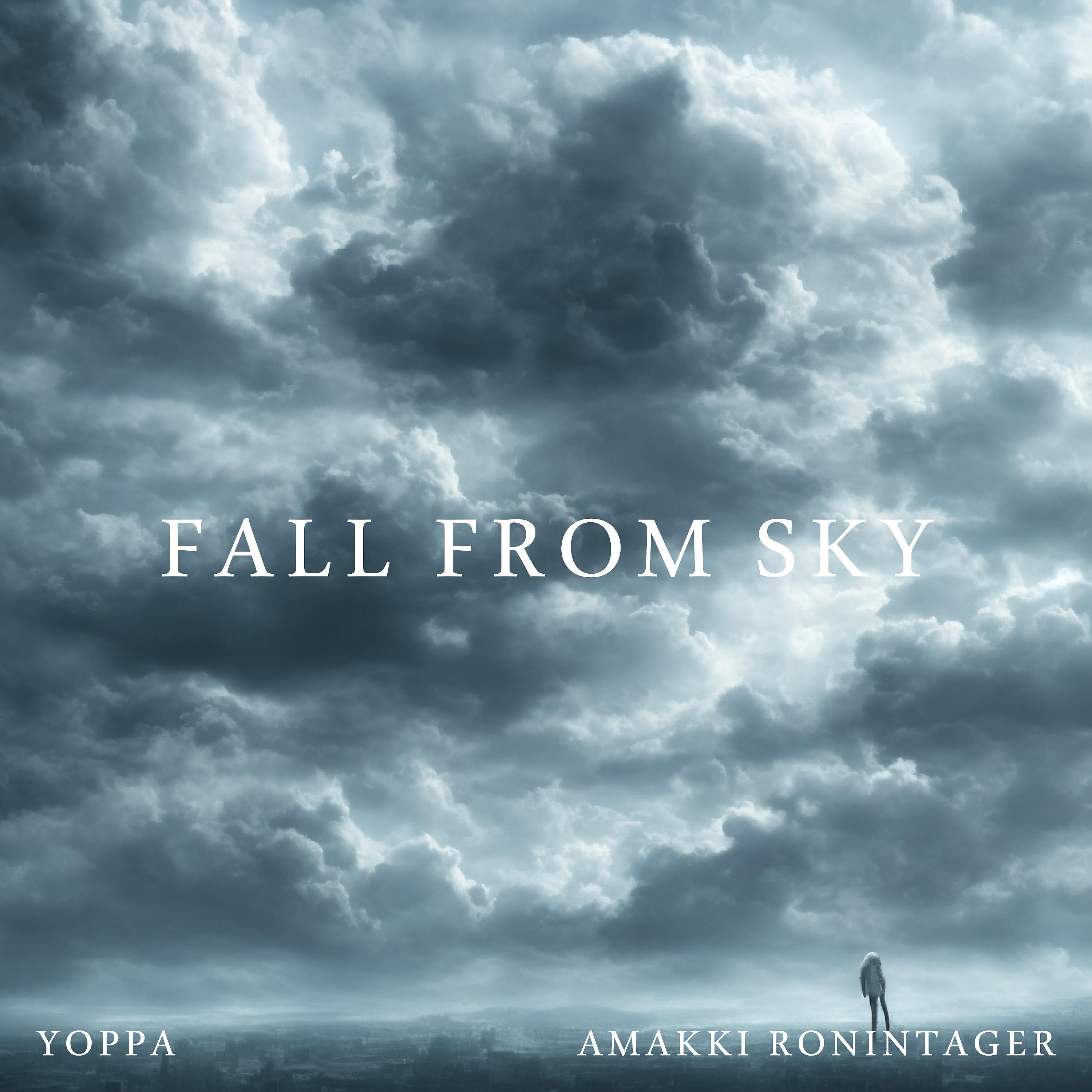 Постер альбома Fall from Sky