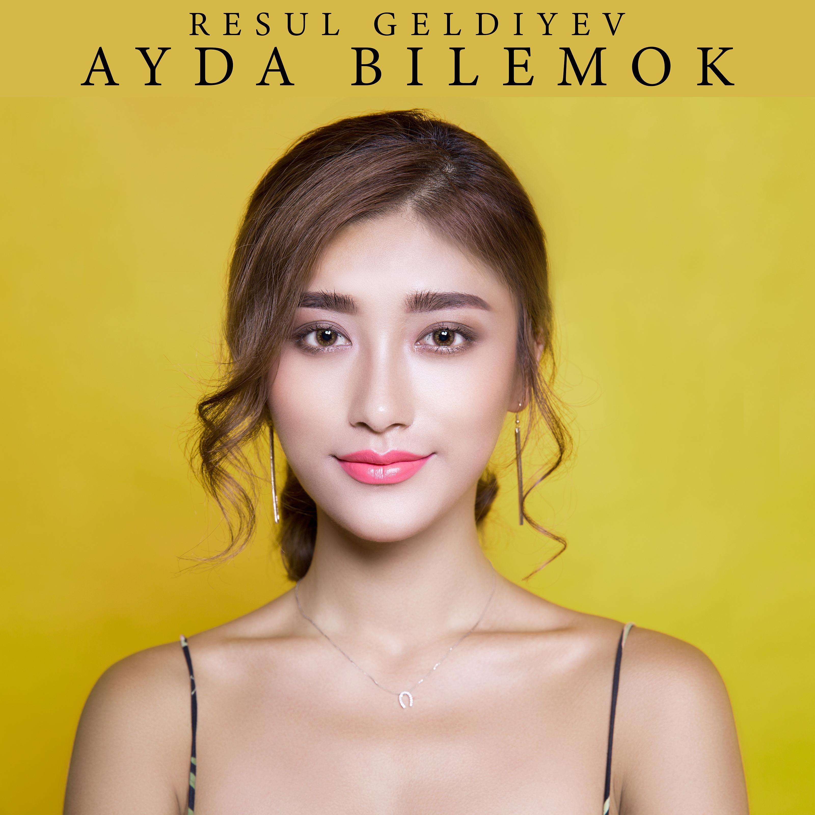 Постер альбома Ayda Bilemok