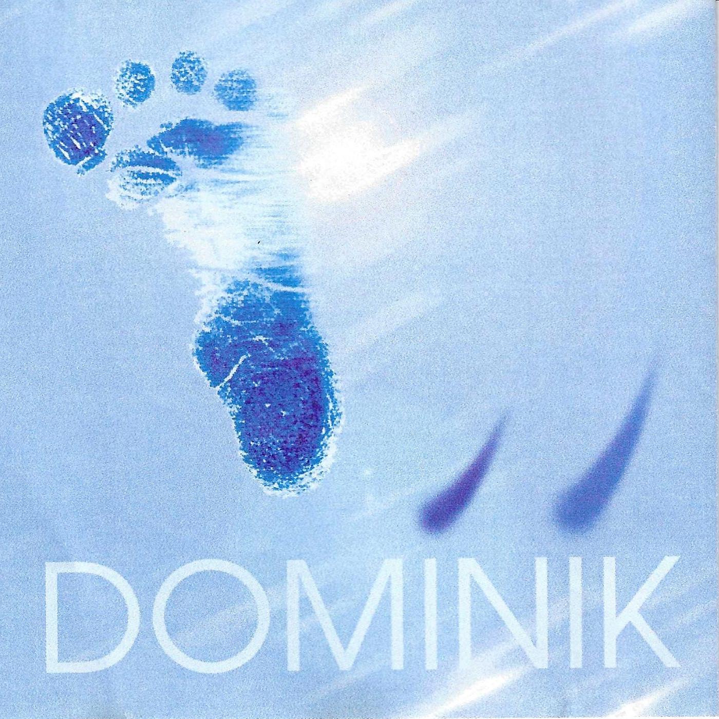 Постер альбома Dominik