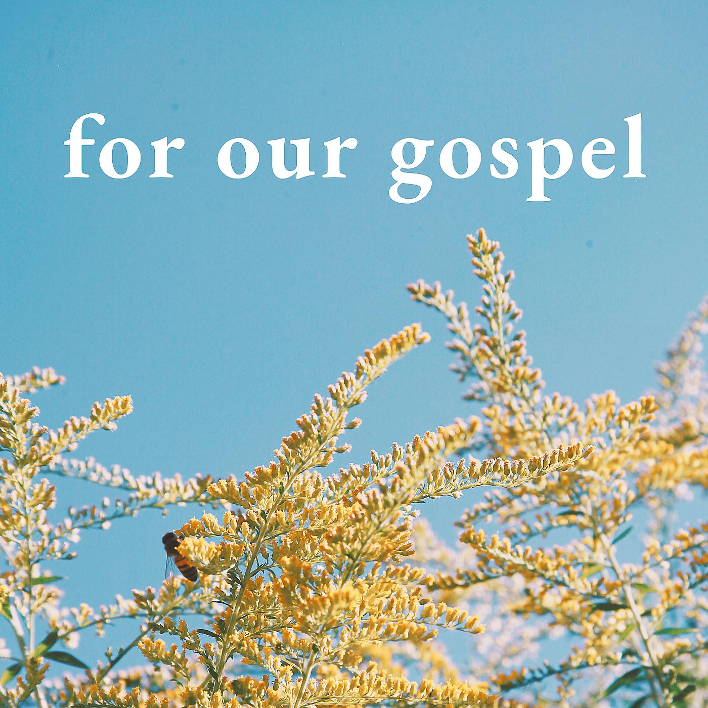 Постер альбома For Our Gospel