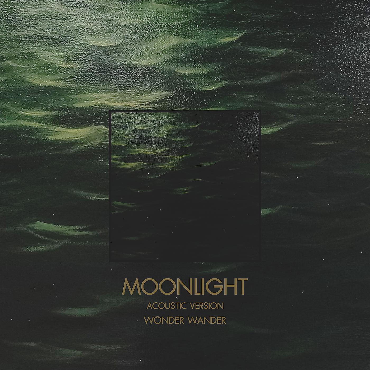 Постер альбома Moonlight (Acoustic Version)