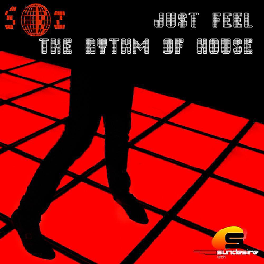 Постер альбома Just Feel the Rhythm of House