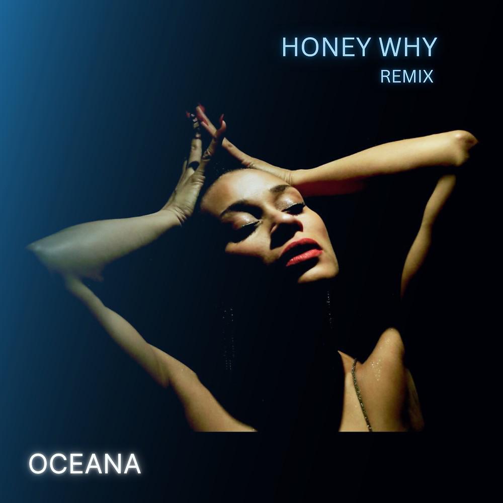 Постер альбома Honey Why