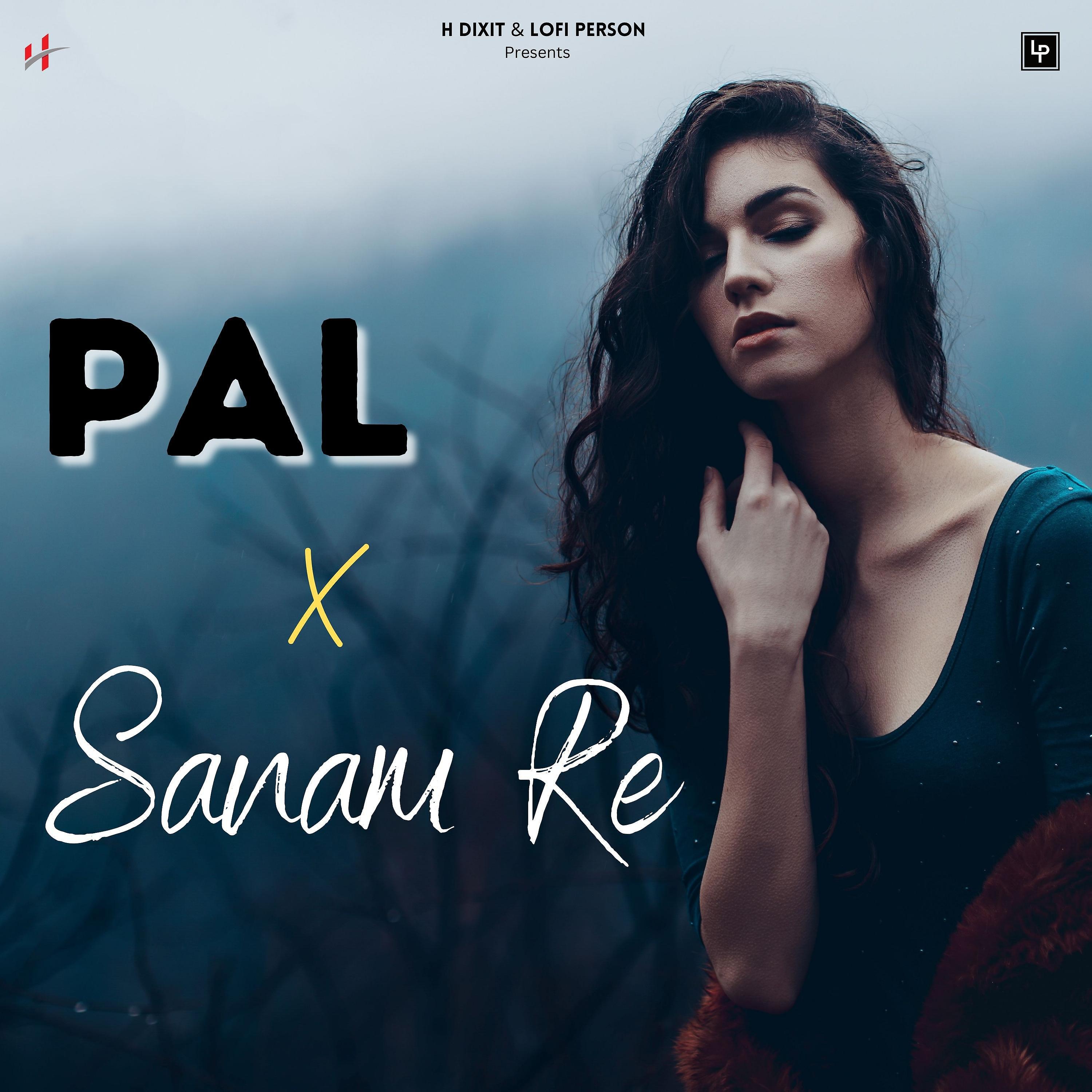 Постер альбома Pal X Sanam Re Chillout