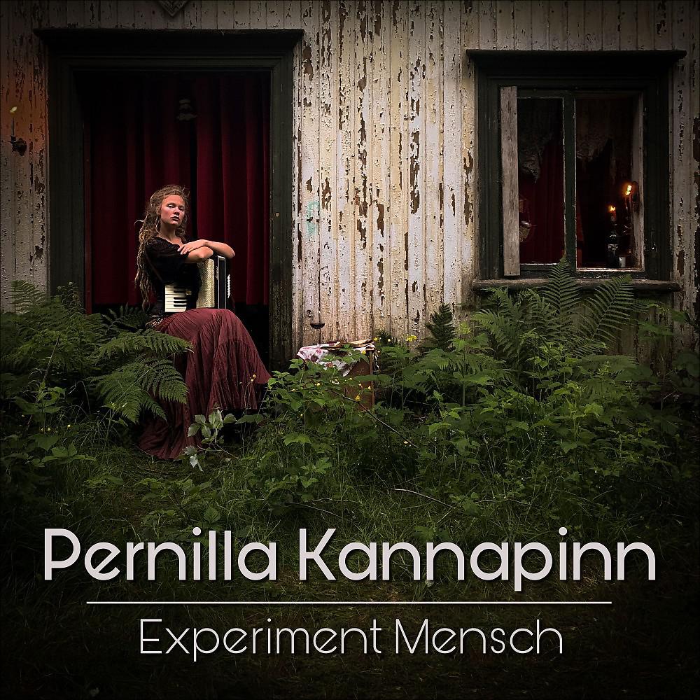 Постер альбома Experiment Mensch