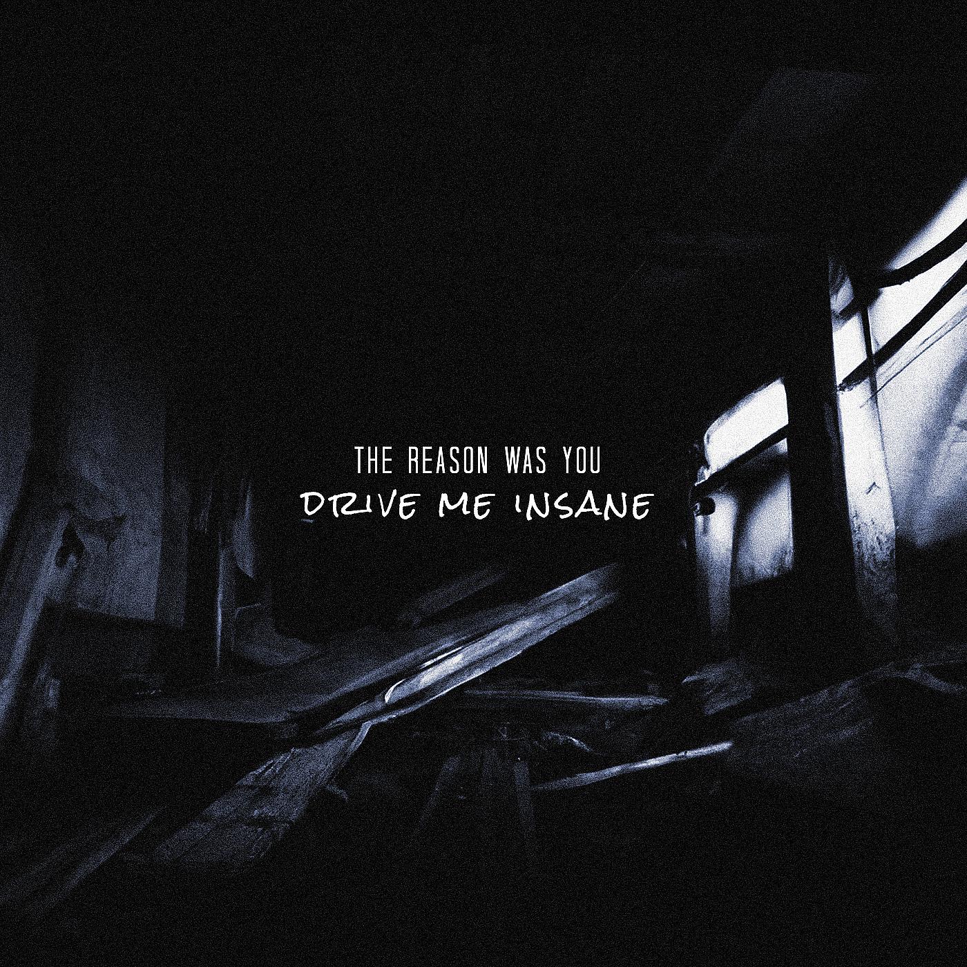 Постер альбома Drive Me Insane
