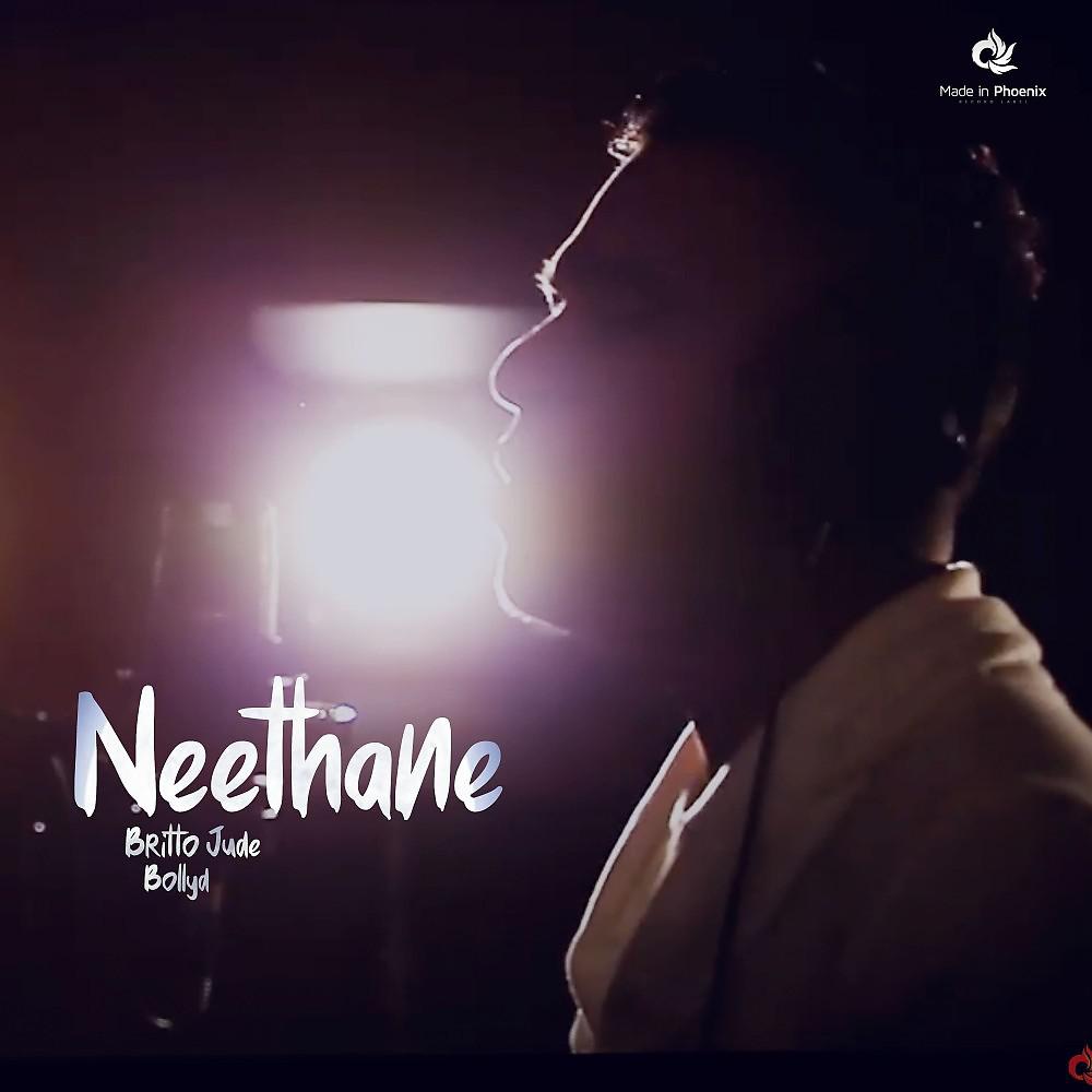 Постер альбома Neethane (Deluxe Edition)