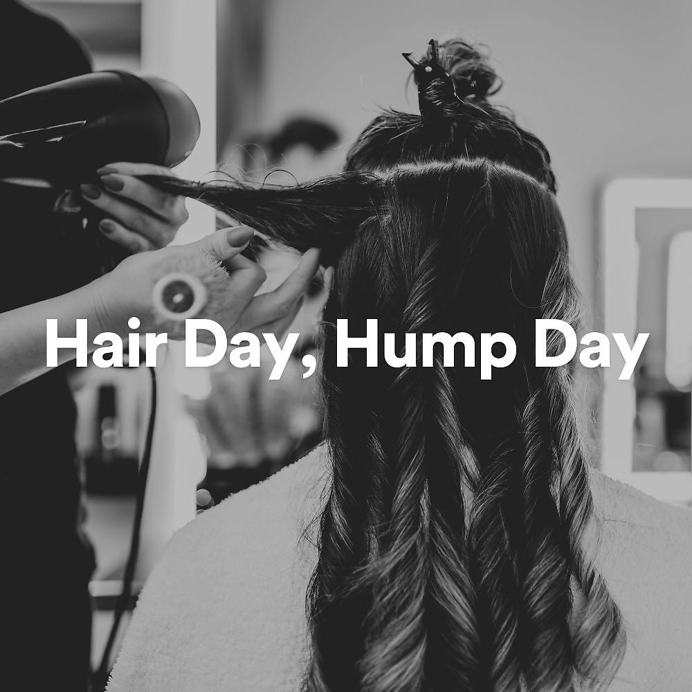 Постер альбома Hair Day, Hump Day